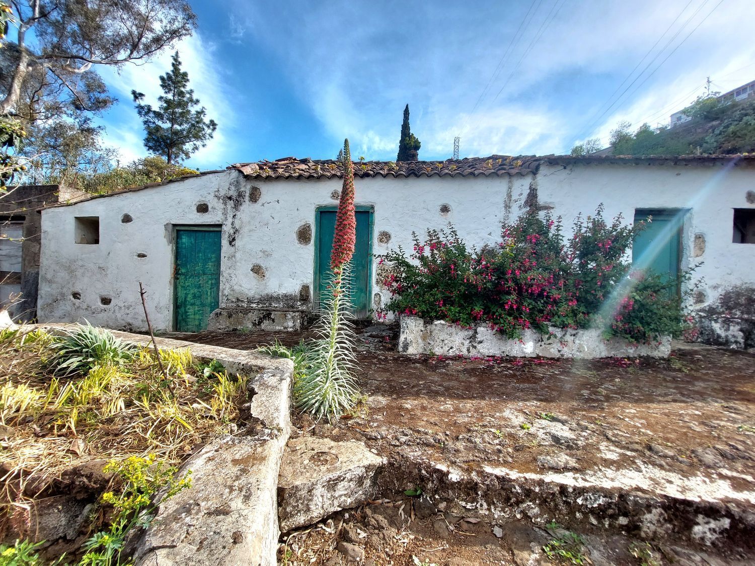 Casas o chalets-Venta-Vega de San Mateo-1720929-Foto-2