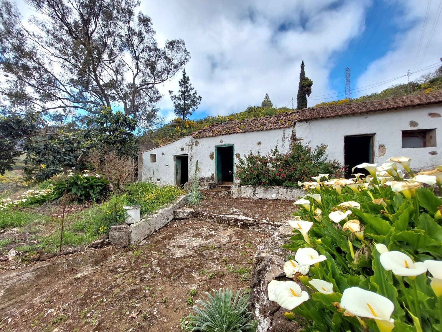 Casas o chalets-Venta-Vega de San Mateo-1720929-Foto-4