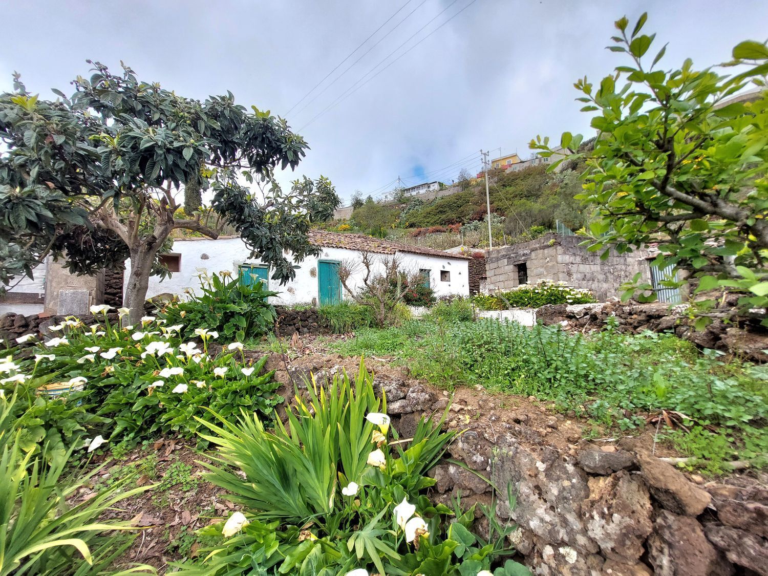 Casas o chalets-Venta-1720929