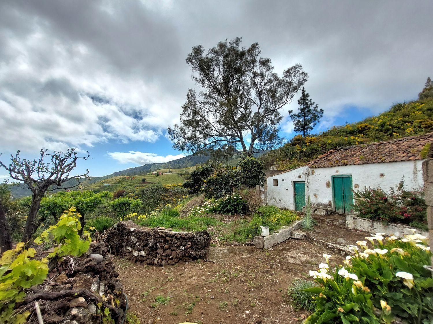 Casas o chalets-Venta-Vega de San Mateo-1720929-Foto-5