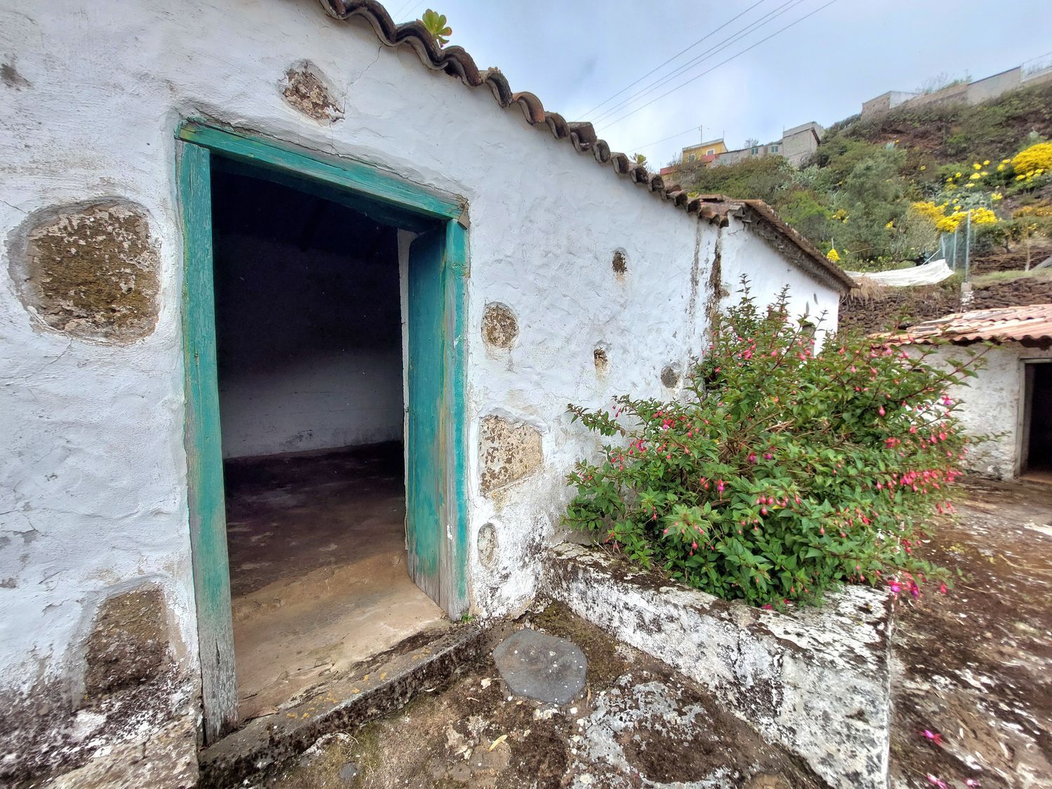 Casas o chalets-Venta-Vega de San Mateo-1720929-Foto-3