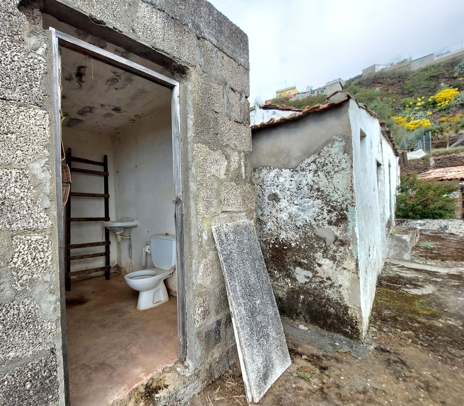Casas o chalets-Venta-Vega de San Mateo-1720929-Foto-20