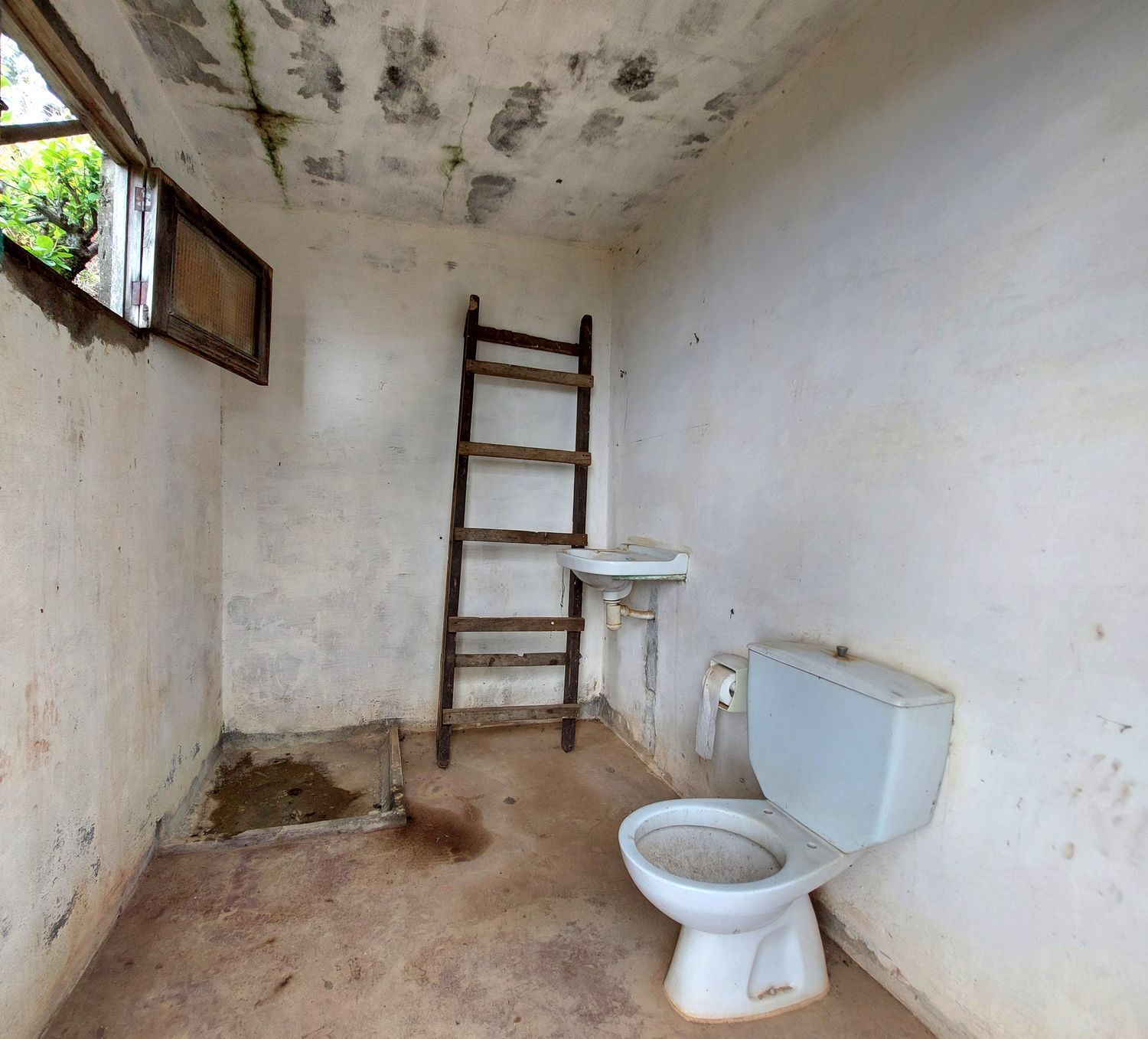 Casas o chalets-Venta-Vega de San Mateo-1720929-Foto-21