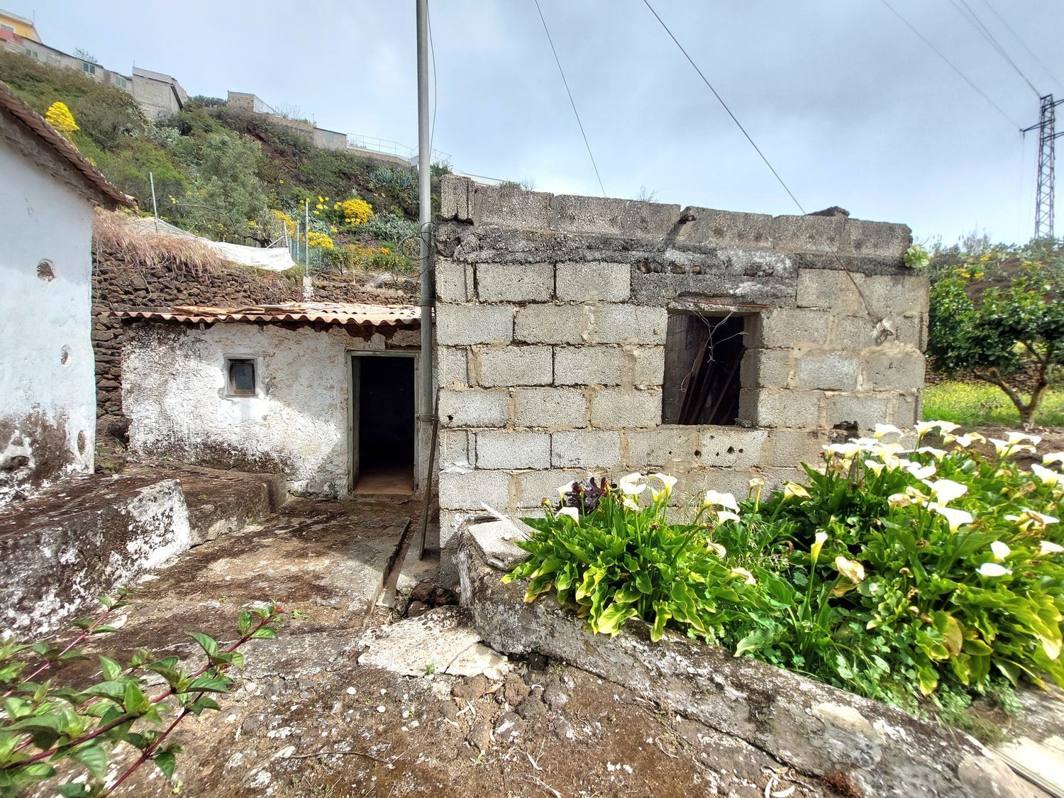 Casas o chalets-Venta-Vega de San Mateo-1720929-Foto-23