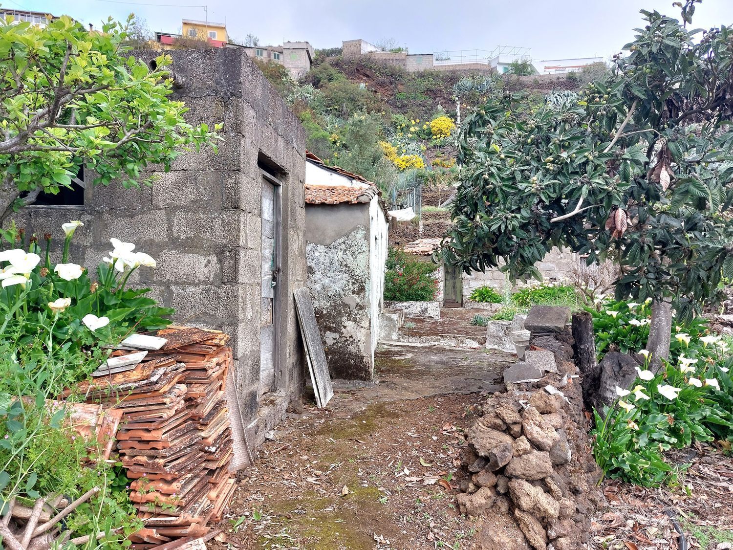 Casas o chalets-Venta-Vega de San Mateo-1720929-Foto-24