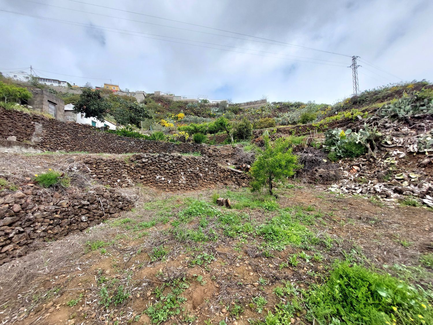 Casas o chalets-Venta-Vega de San Mateo-1720929-Foto-31