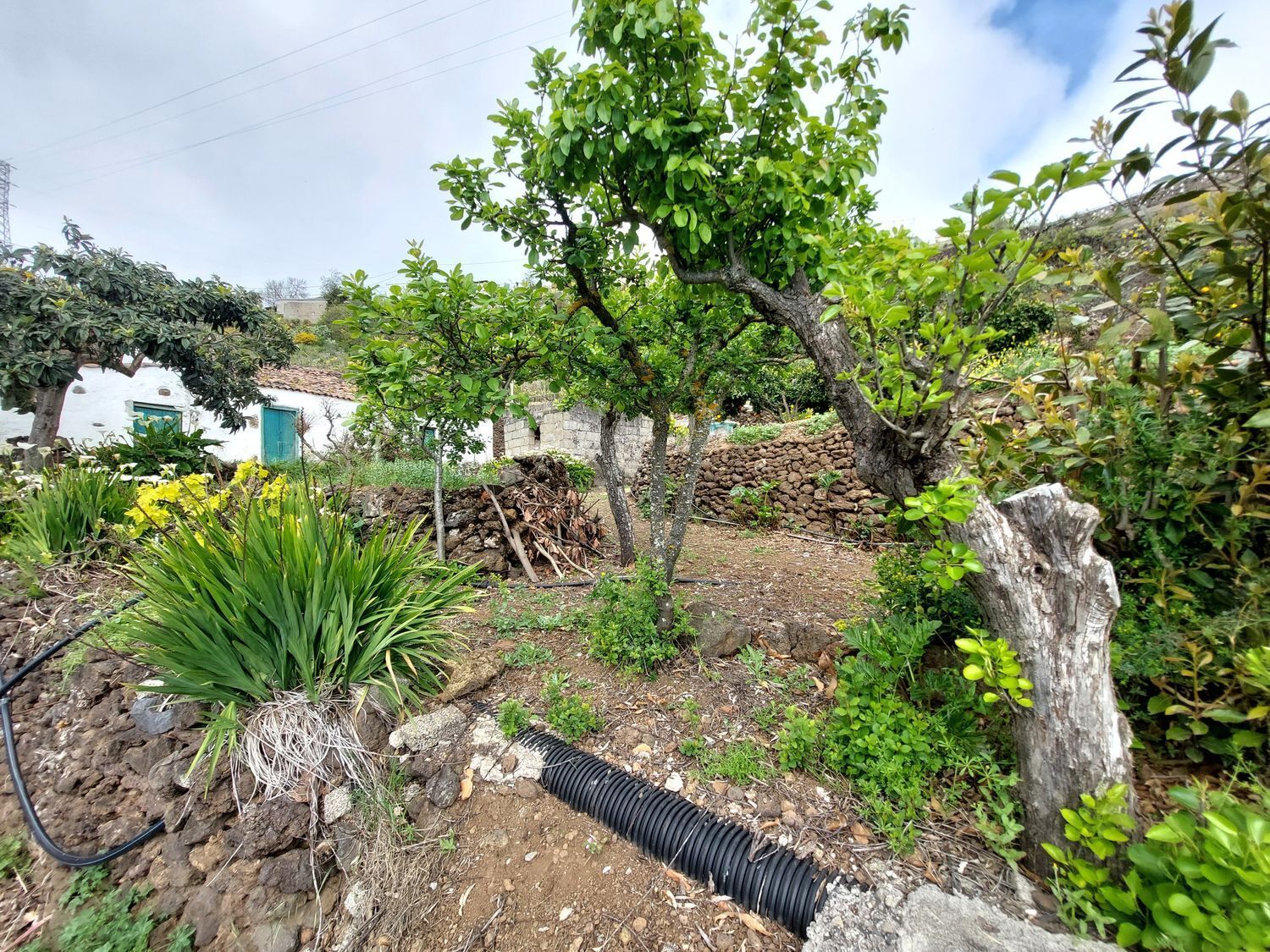Casas o chalets-Venta-Vega de San Mateo-1720929-Foto-33