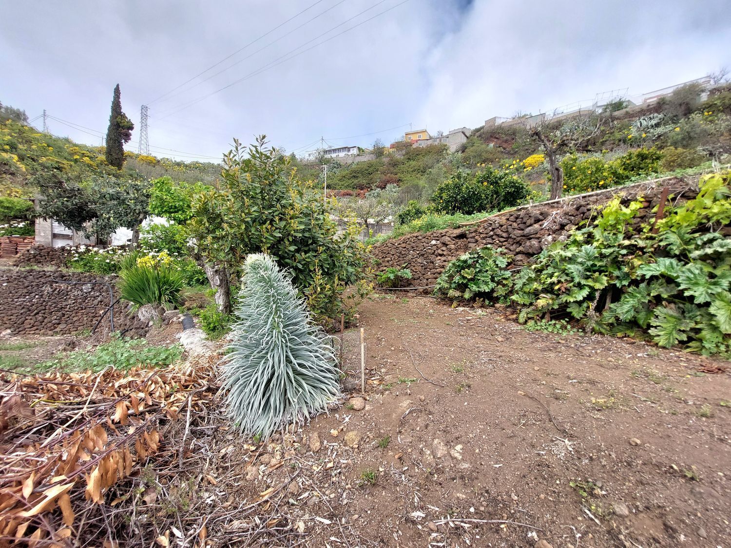 Casas o chalets-Venta-Vega de San Mateo-1720929-Foto-34
