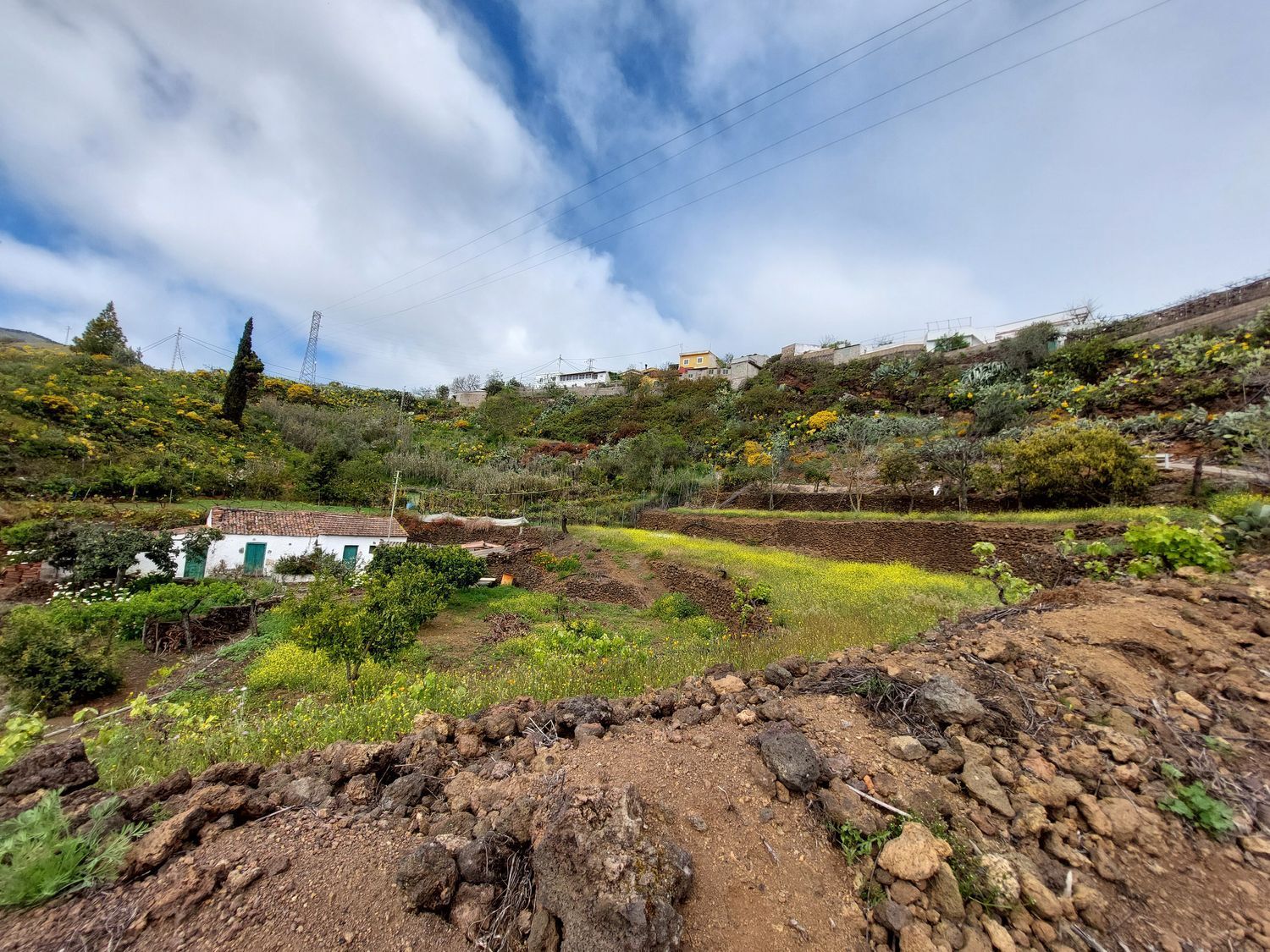 Casas o chalets-Venta-Vega de San Mateo-1720929-Foto-38