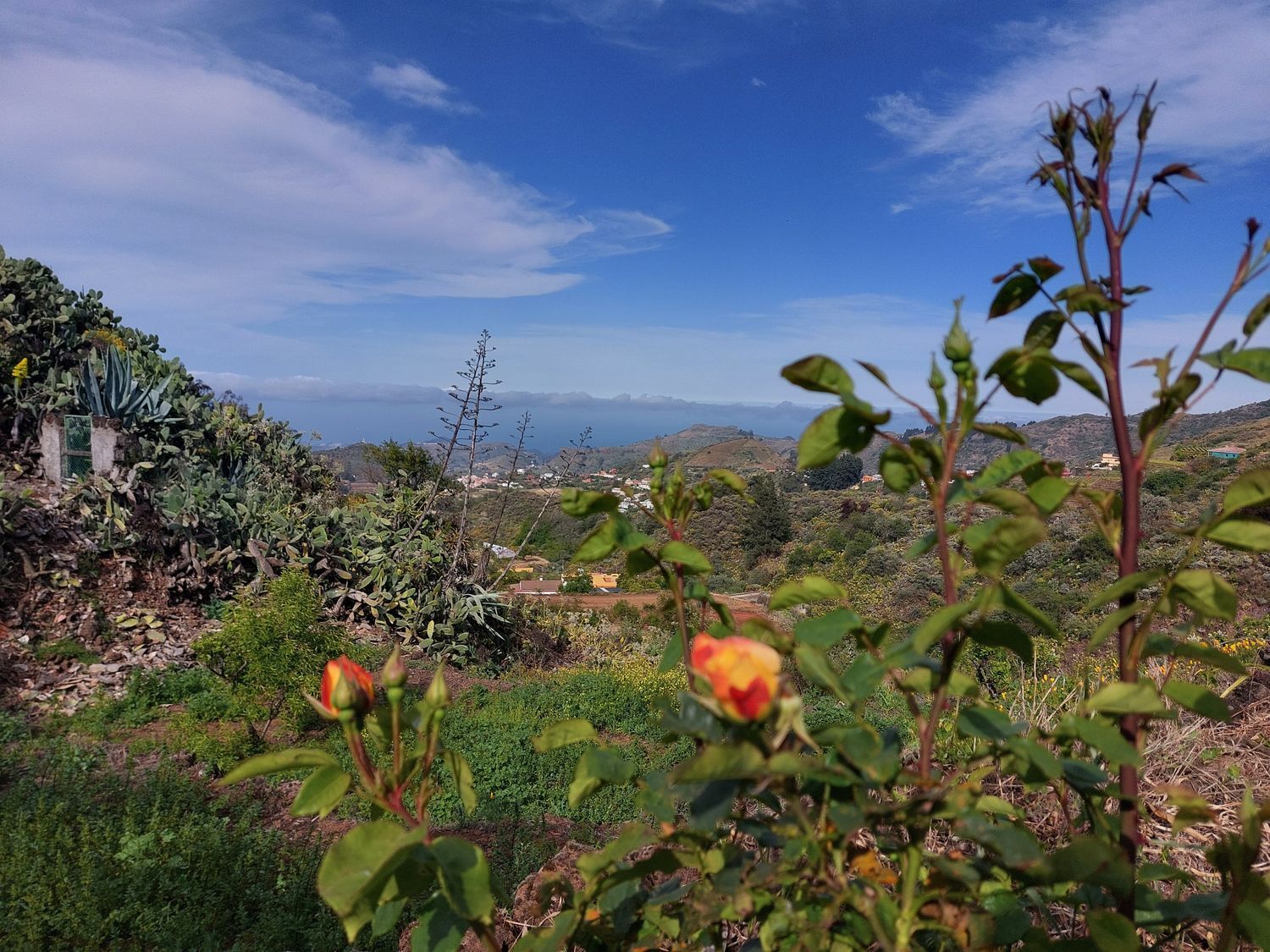 Casas o chalets-Venta-Vega de San Mateo-1720929-Foto-43