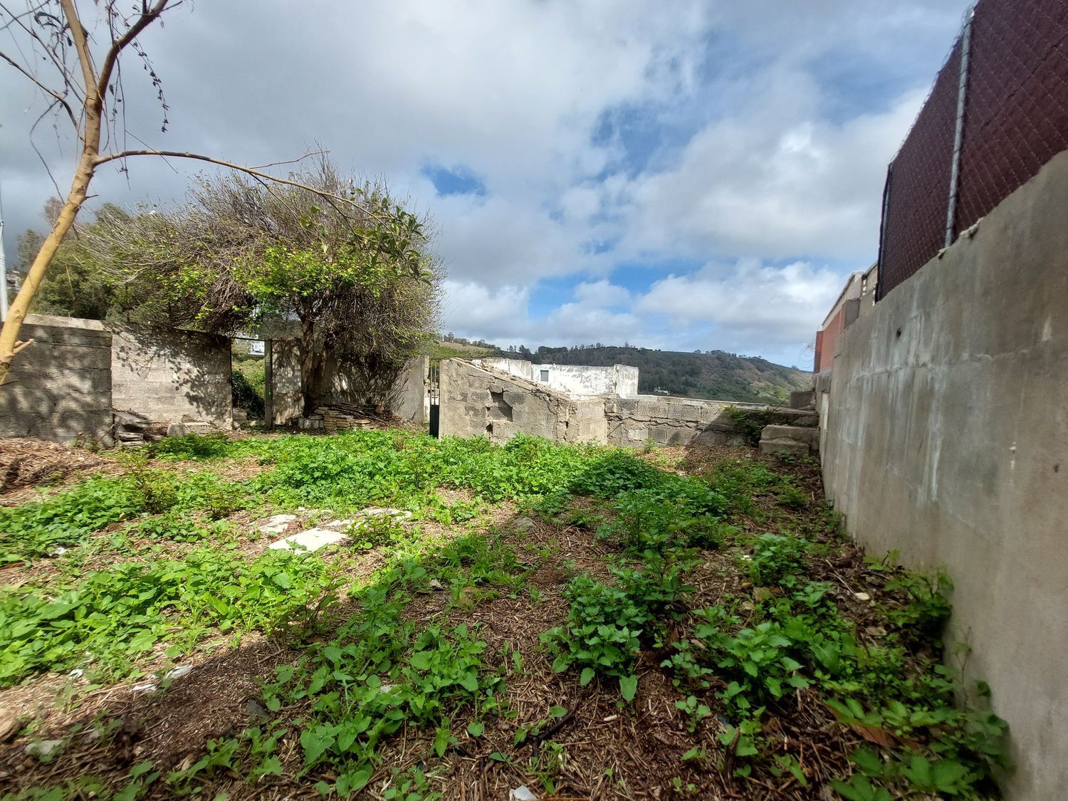 Casas o chalets-Venta-Arucas-440852-Foto-5