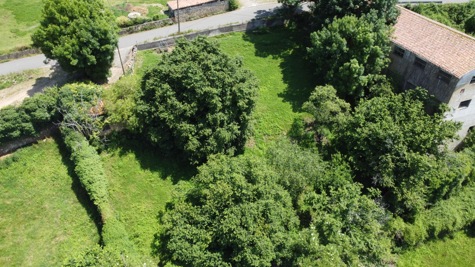 Fincas y solares-Venta-PiloÃ±a-1761201-Foto-5