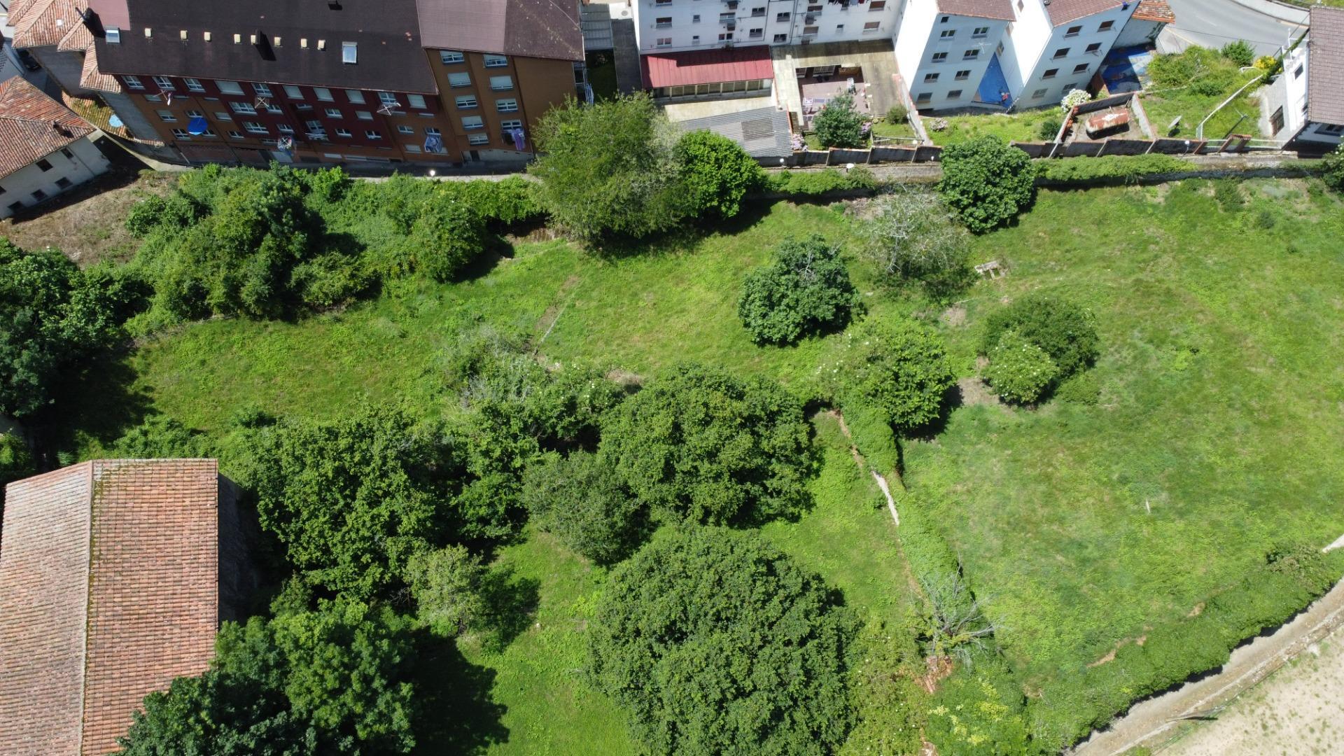 Fincas y solares-Venta-PiloÃ±a-1761201-Foto-9