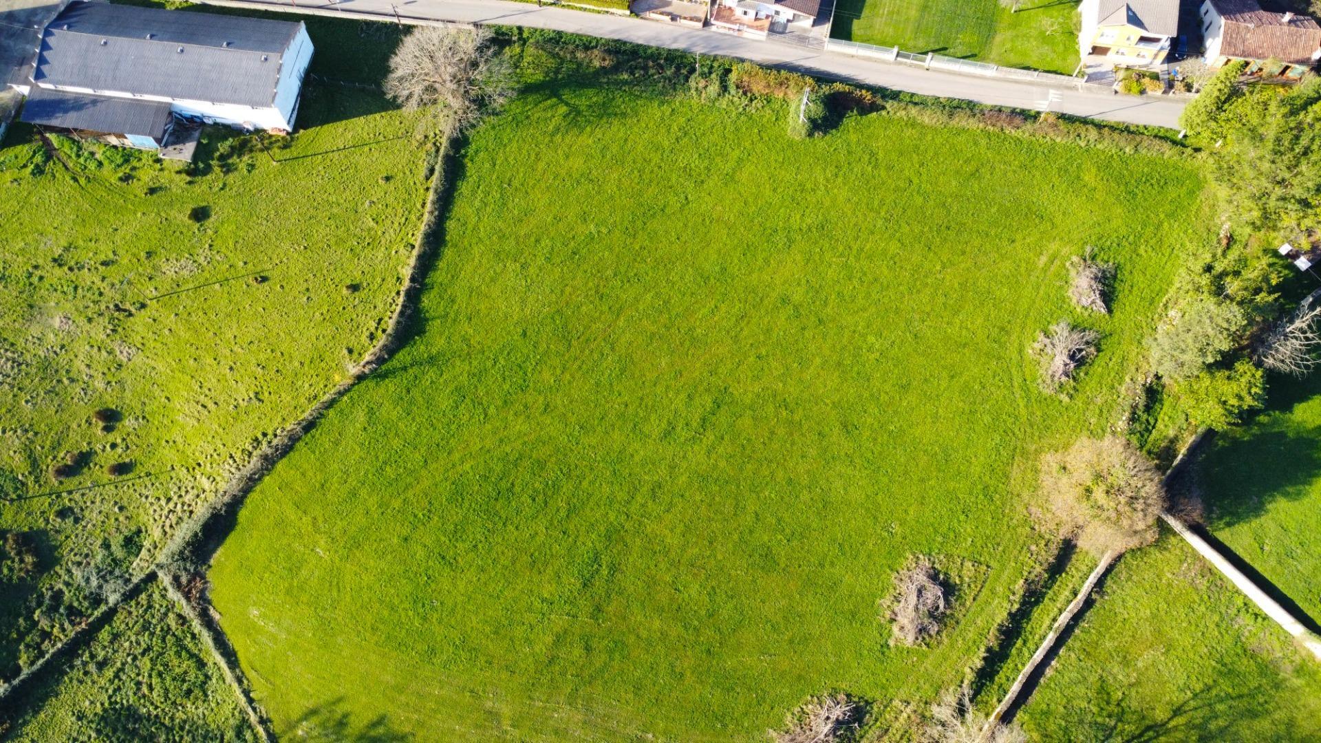 Fincas y solares-Venta-Siero-1508307-Foto-8