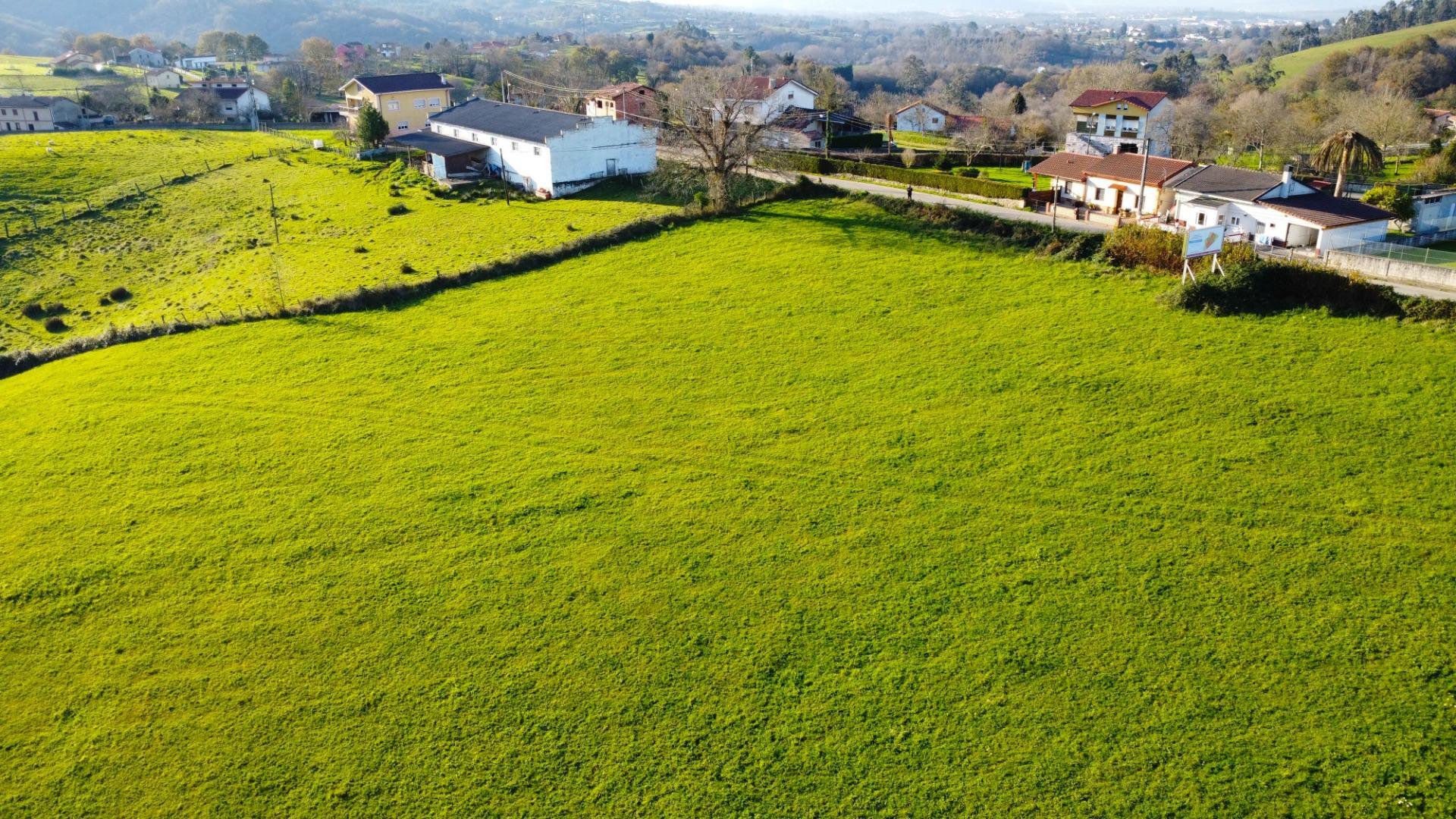 Fincas y solares-Venta-Siero-1508307-Foto-24