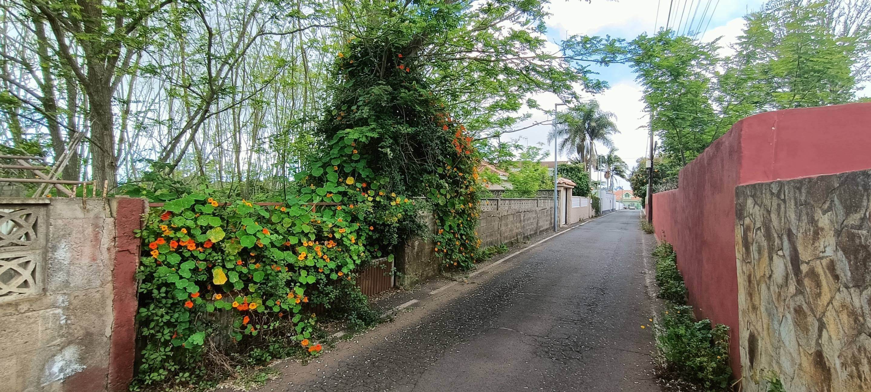 Fincas y solares-Venta-San CristÃ³bal de La Laguna-1747616-Foto-2