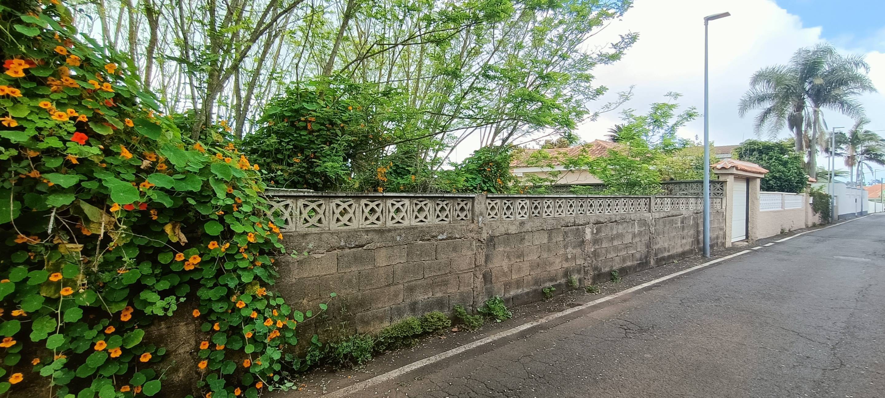 Fincas y solares-Venta-San CristÃ³bal de La Laguna-1747616-Foto-3