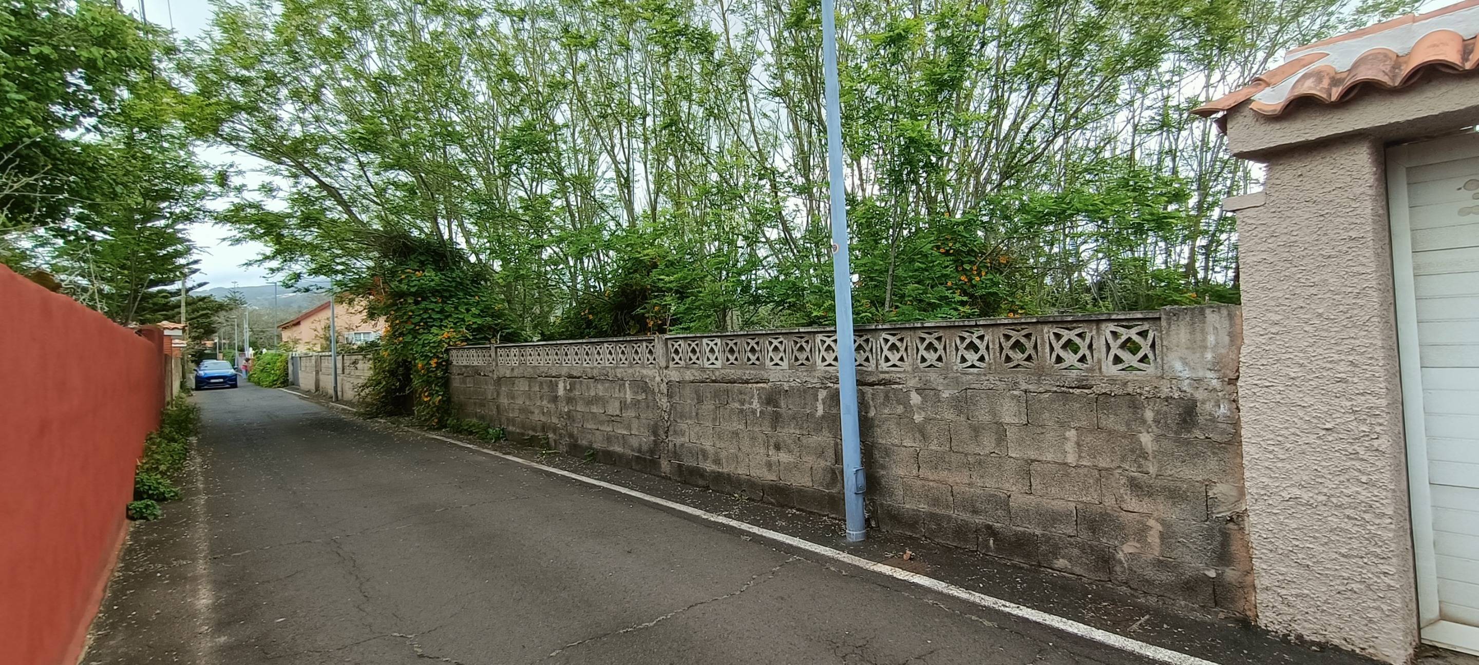 Fincas y solares-Venta-San CristÃ³bal de La Laguna-1747616-Foto-7