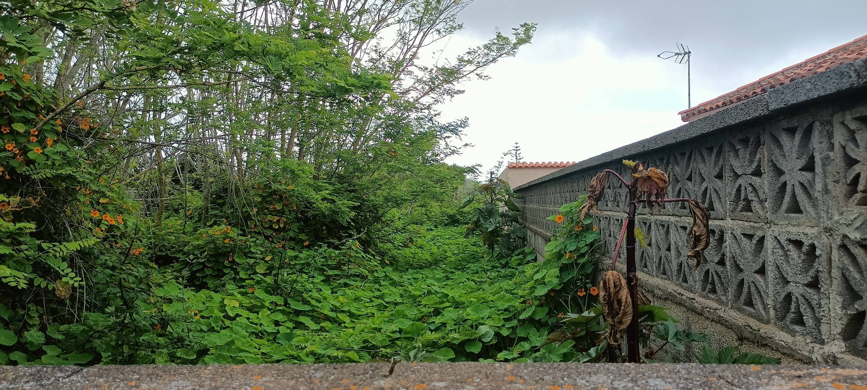 Fincas y solares-Venta-San CristÃ³bal de La Laguna-1747616-Foto-9