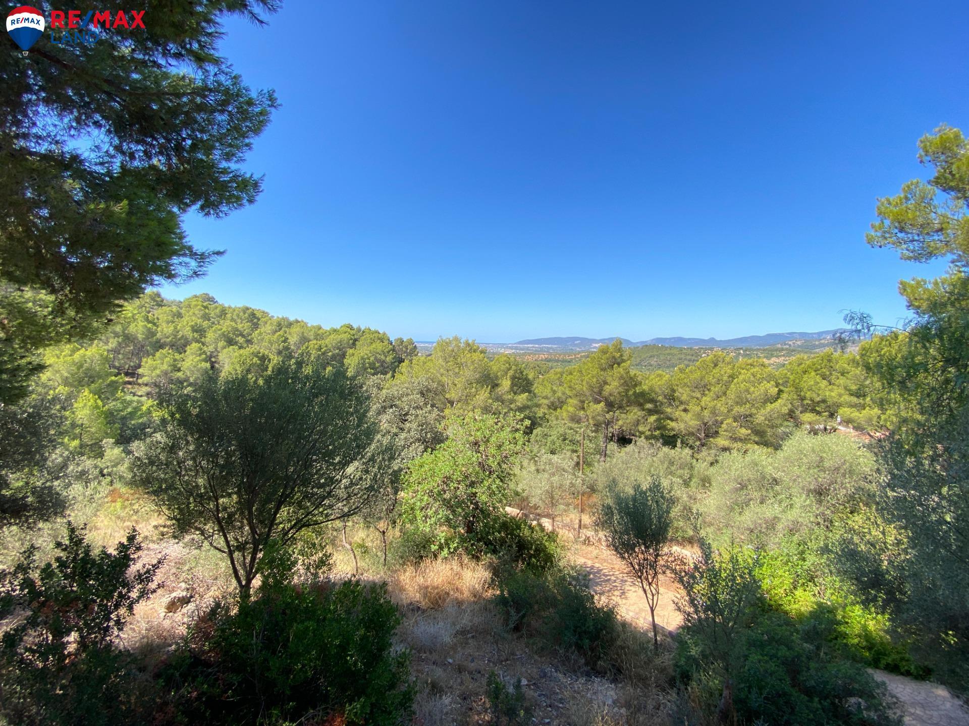 Casas o chalets-Venta-Bunyola-1767105-Foto-31