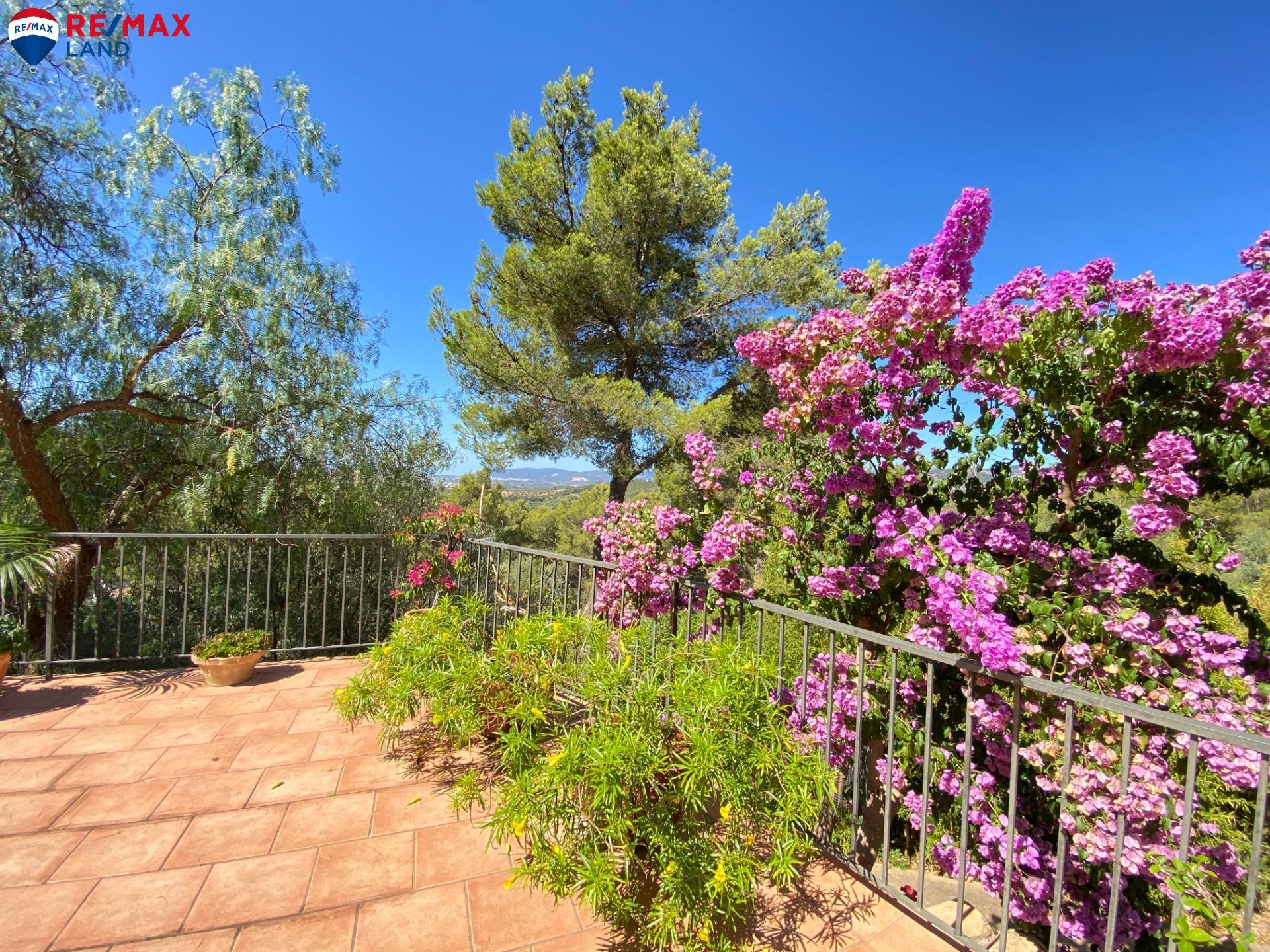 Casas o chalets-Venta-Bunyola-1767105-Foto-33