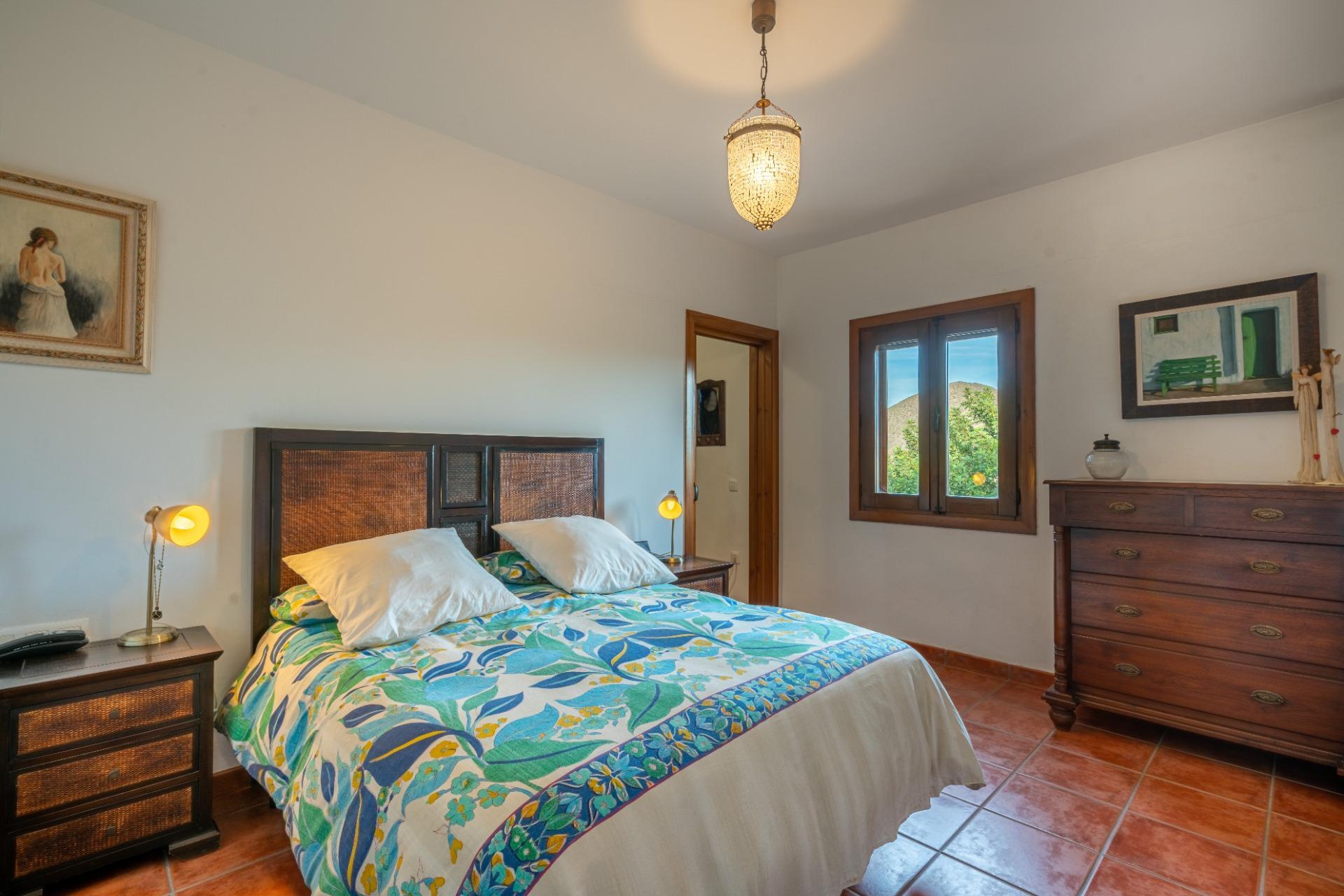 Casas o chalets-Venta-NÃ­jar-1767656-Foto-8
