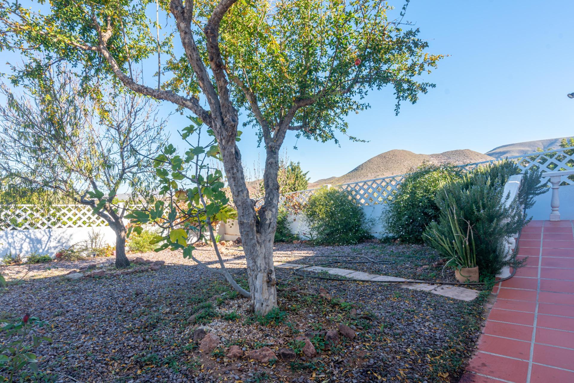 Casas o chalets-Venta-NÃ­jar-1767656-Foto-43
