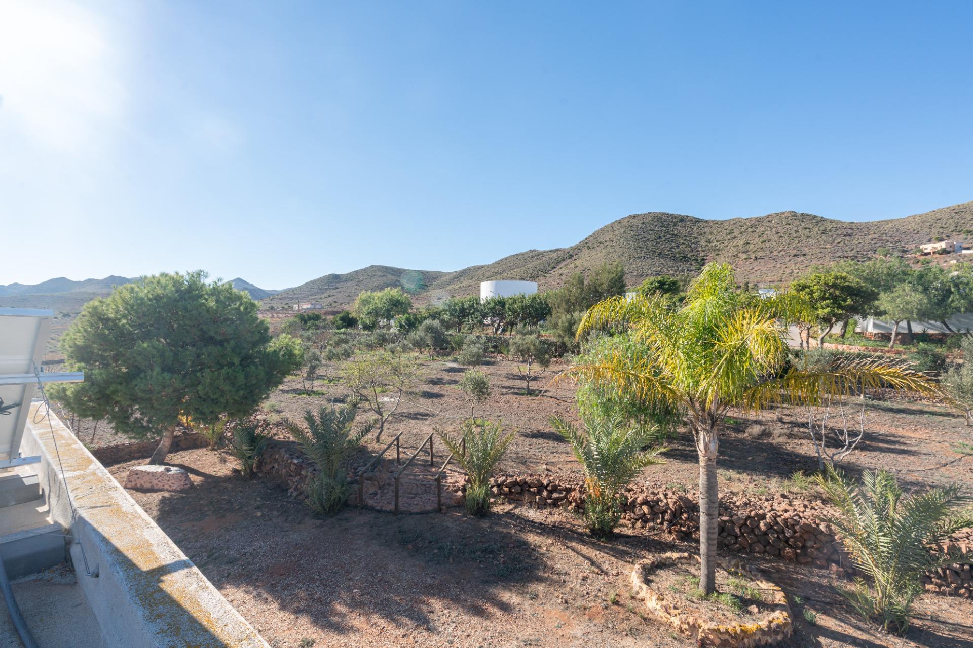 Casas o chalets-Venta-NÃ­jar-1767656-Foto-47