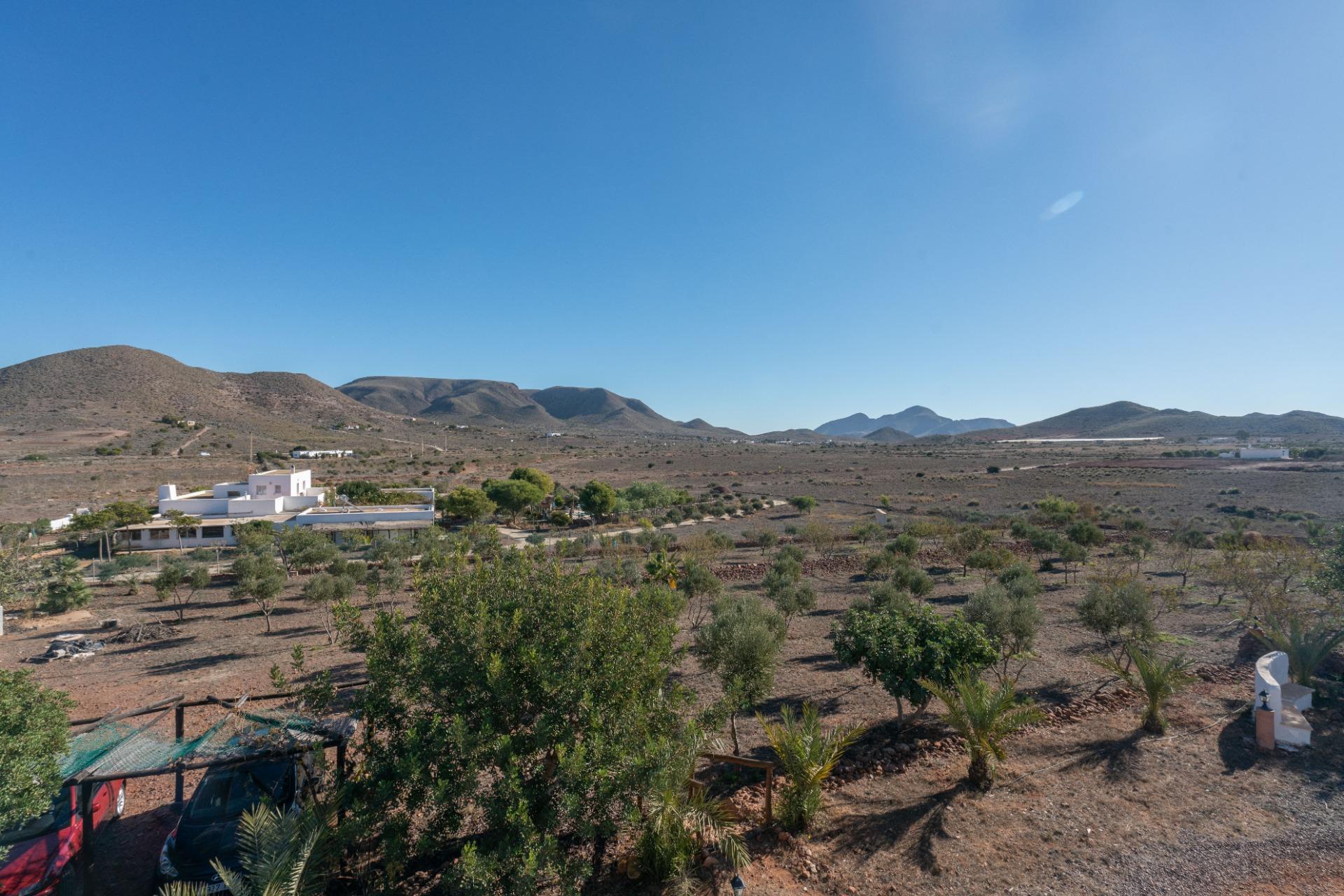 Casas o chalets-Venta-NÃ­jar-1767656-Foto-46