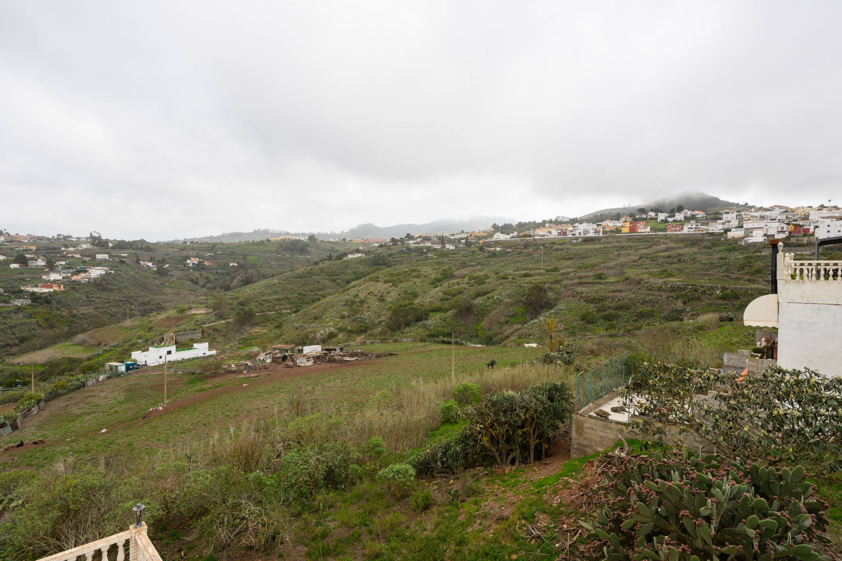 Casas o chalets-Venta-Firgas-1713014-Foto-61
