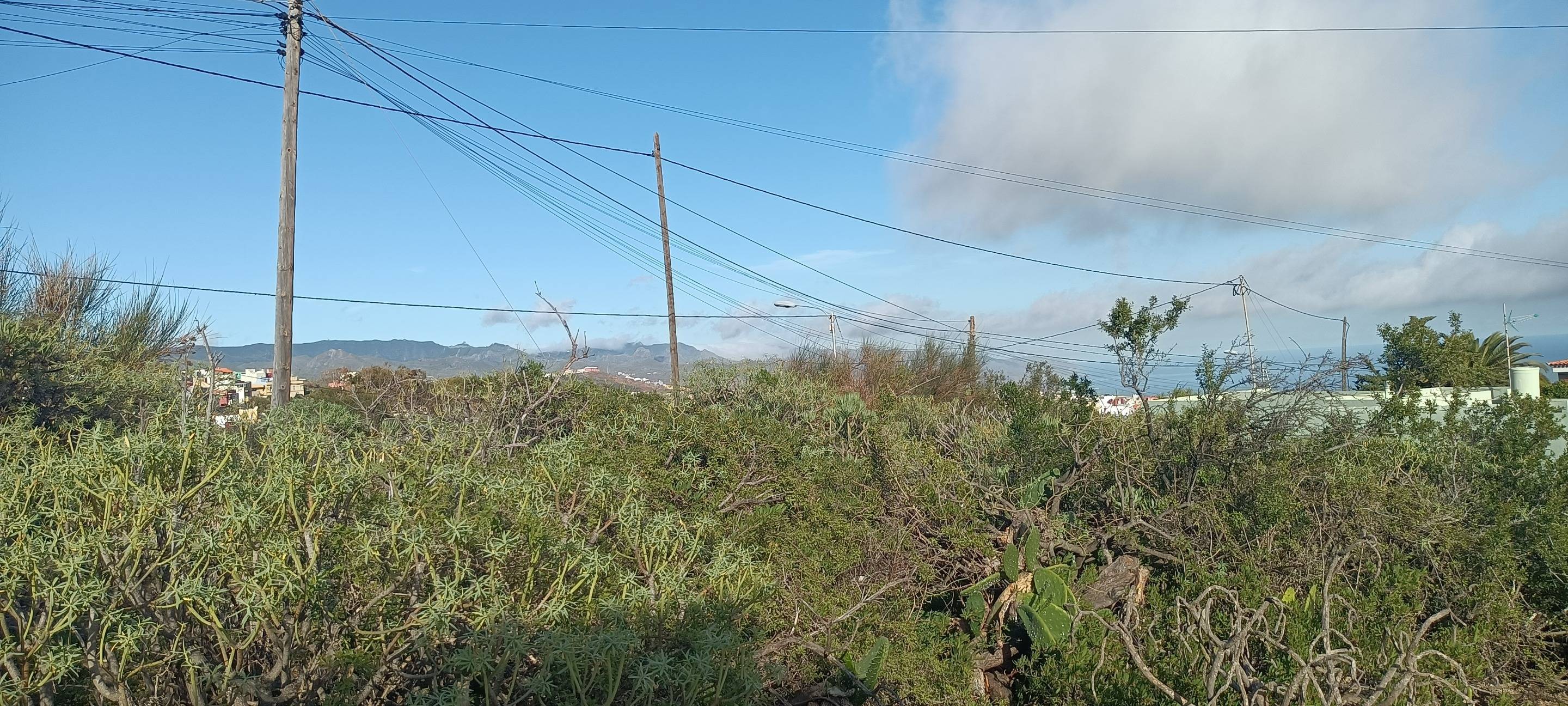 Fincas y solares-Venta-Santa Cruz de Tenerife-1768061-Foto-12