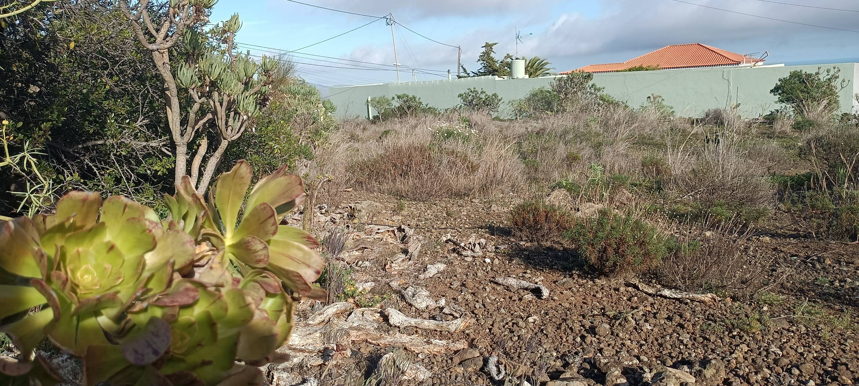 Fincas y solares-Venta-Santa Cruz de Tenerife-1768061-Foto-14