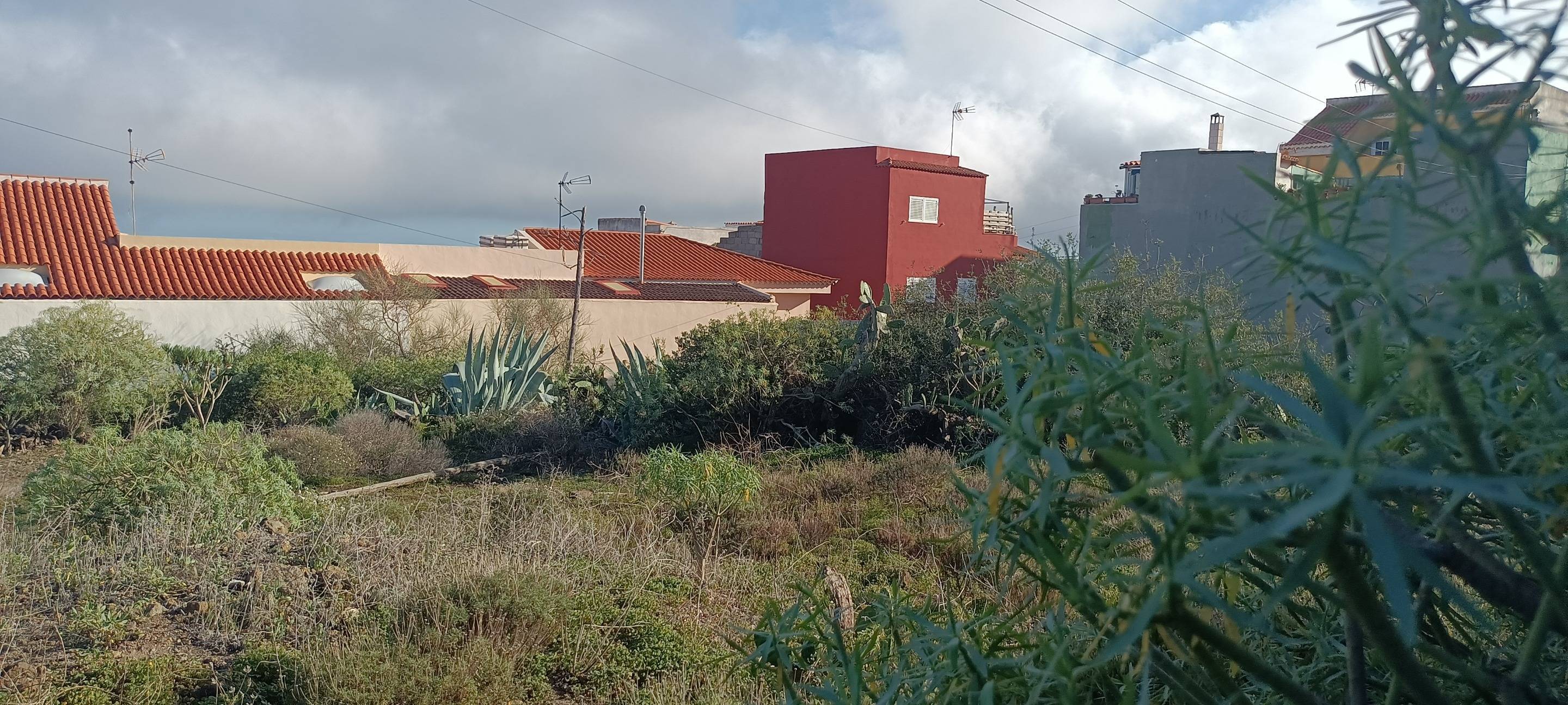 Fincas y solares-Venta-Santa Cruz de Tenerife-1768061-Foto-13