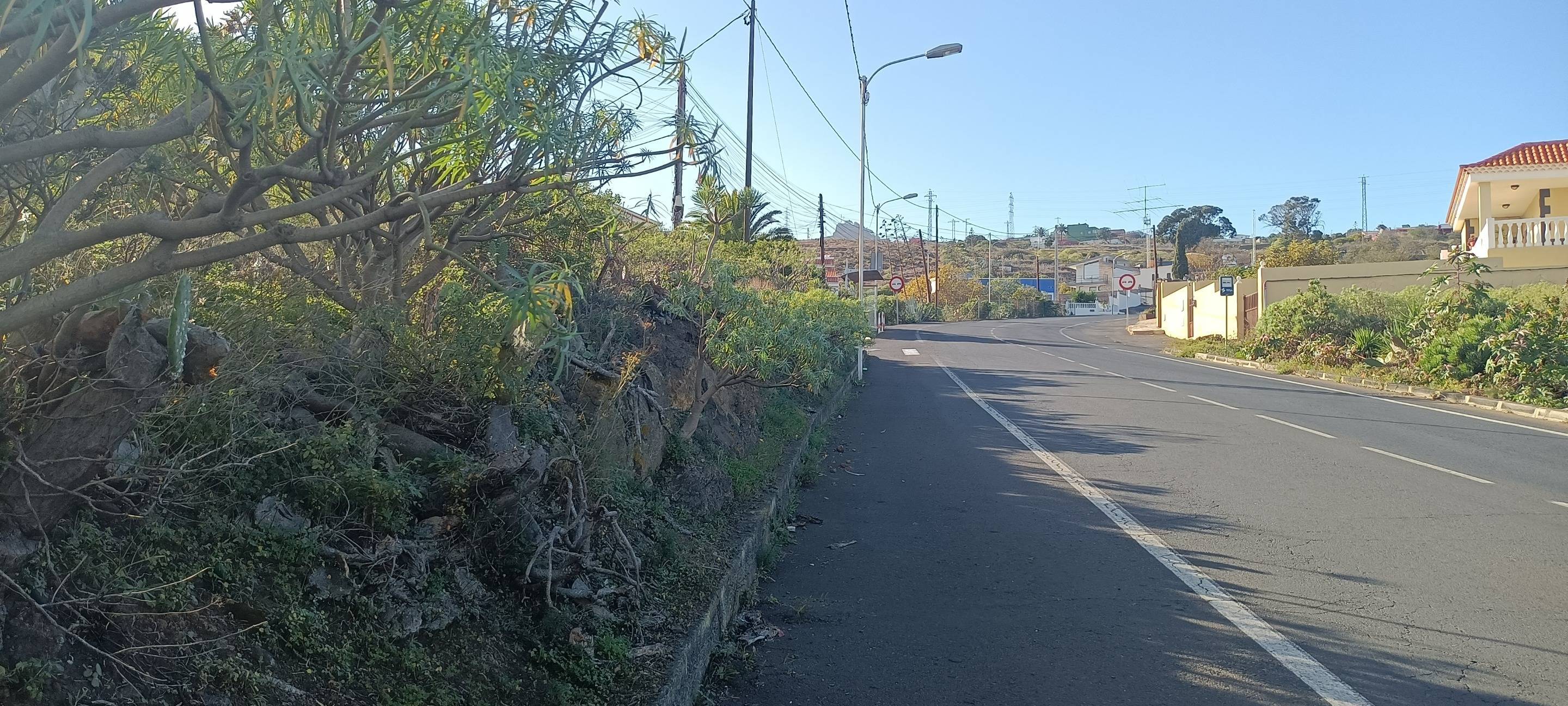 Fincas y solares-Venta-Santa Cruz de Tenerife-1768061-Foto-16
