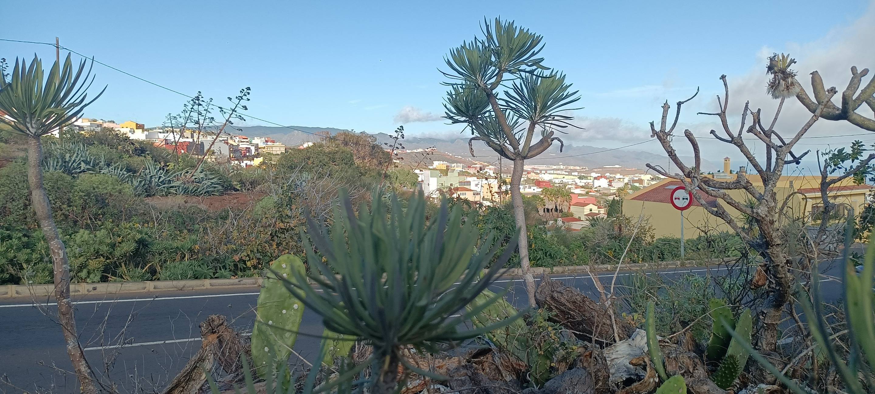 Fincas y solares-Venta-Santa Cruz de Tenerife-1768061-Foto-19