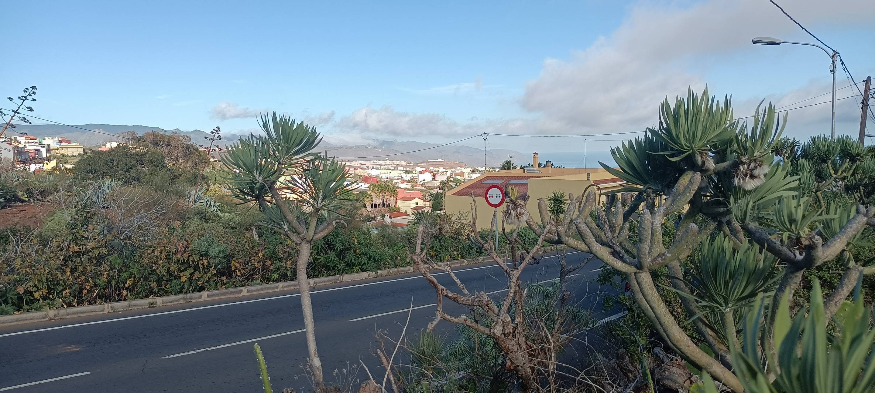Fincas y solares-Venta-Santa Cruz de Tenerife-1768061-Foto-20