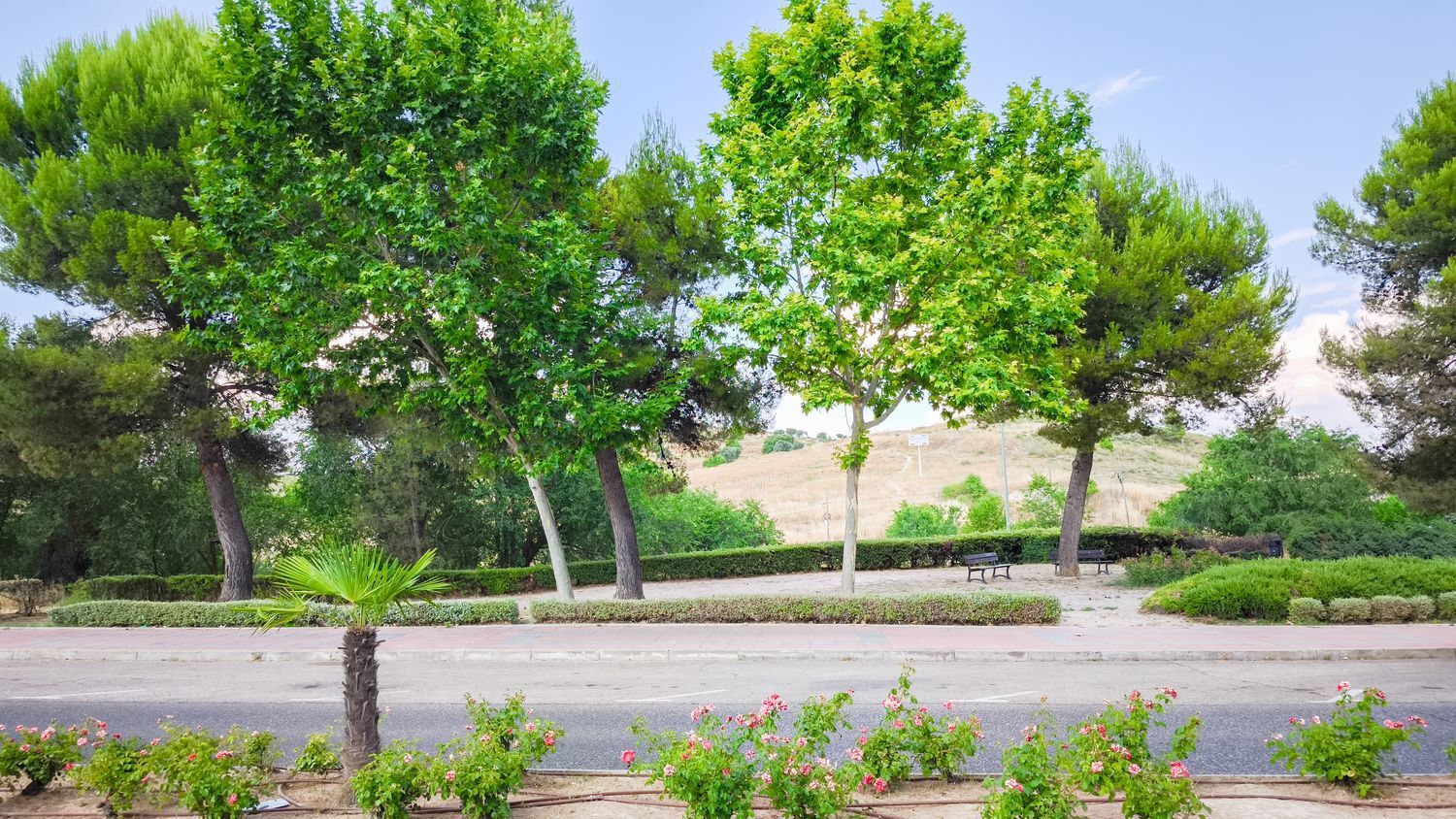 Pisos-Venta-Arganda del Rey-1768079-Foto-34