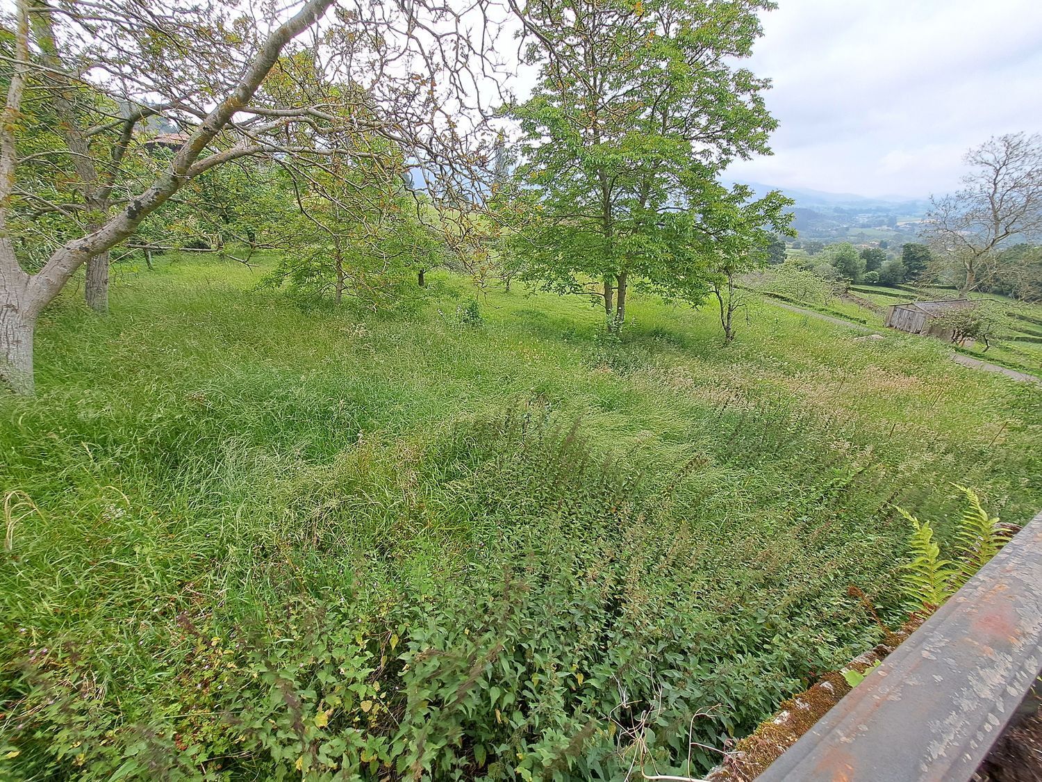 Casas o chalets-Venta-Villaviciosa-1751834-Foto-35