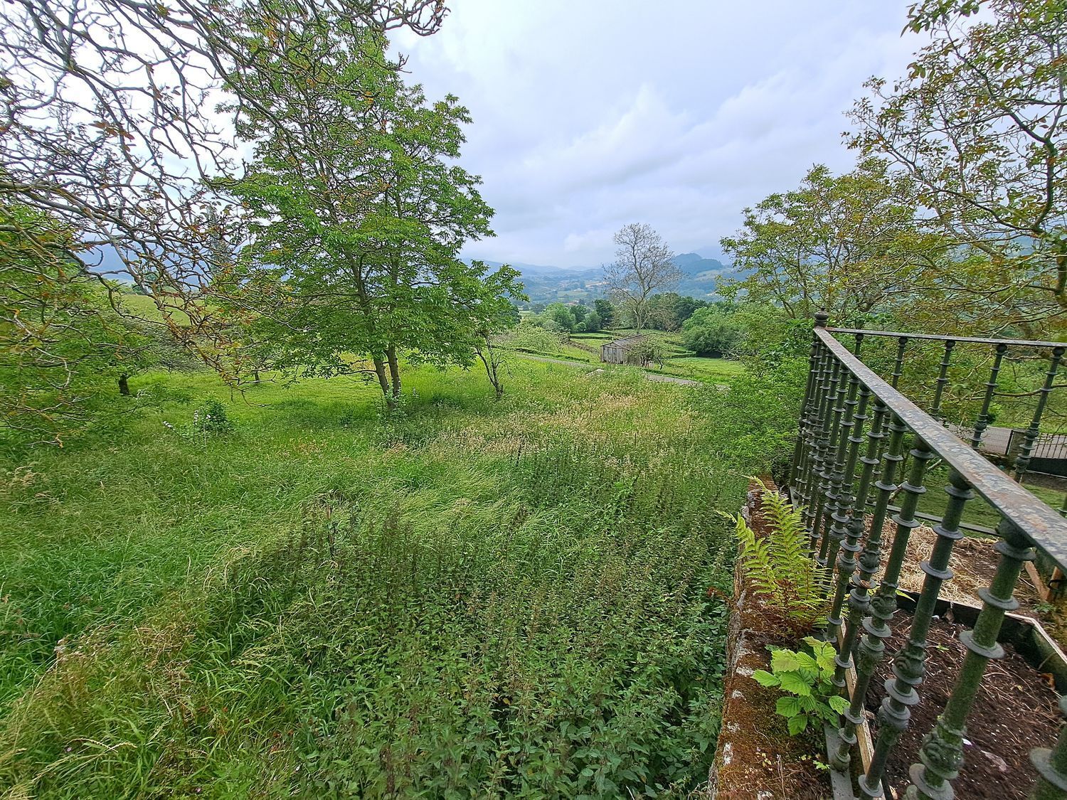 Casas o chalets-Venta-Villaviciosa-1751834-Foto-36