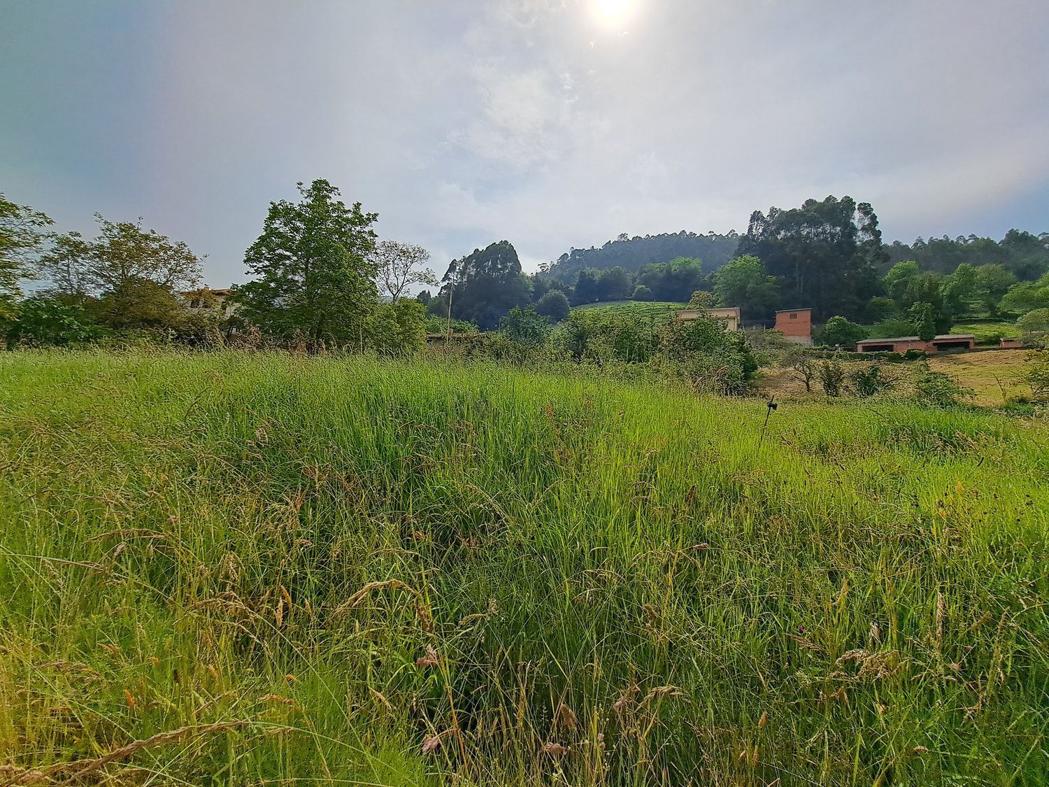 Casas o chalets-Venta-Villaviciosa-1751834-Foto-51
