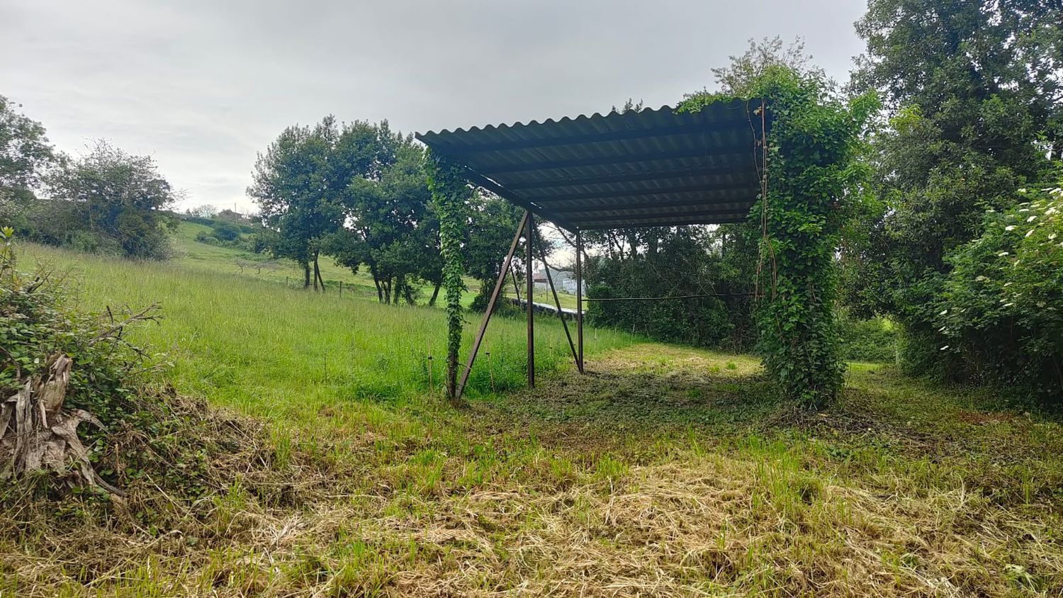 Fincas y solares-Venta-CarreÃ±o-1745635-Foto-10