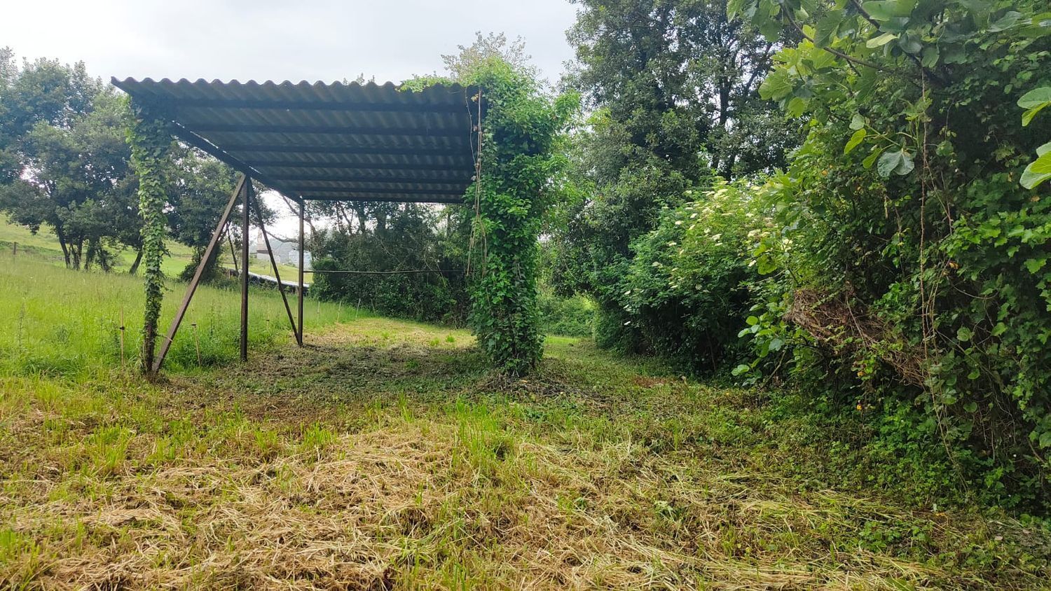 Fincas y solares-Venta-CarreÃ±o-1745635-Foto-14