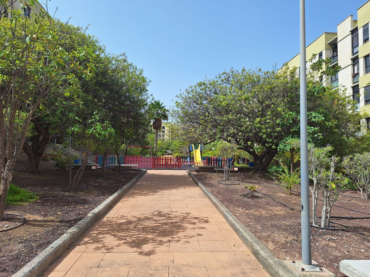 Pisos-Alquiler-Las Palmas de Gran Canaria-1768085-Foto-31