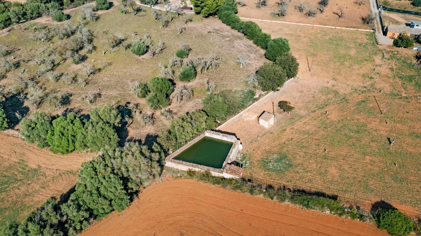 Casas o chalets-Venta-BÃºger-993590-Foto-11