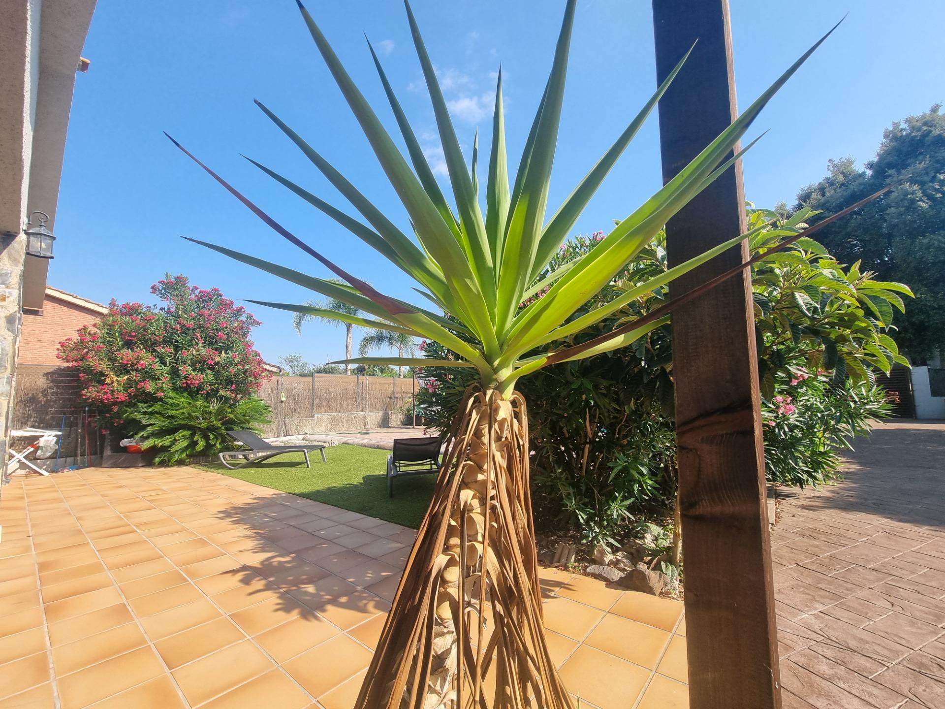 Casas o chalets-Venta-LliÃ§Ã  d
