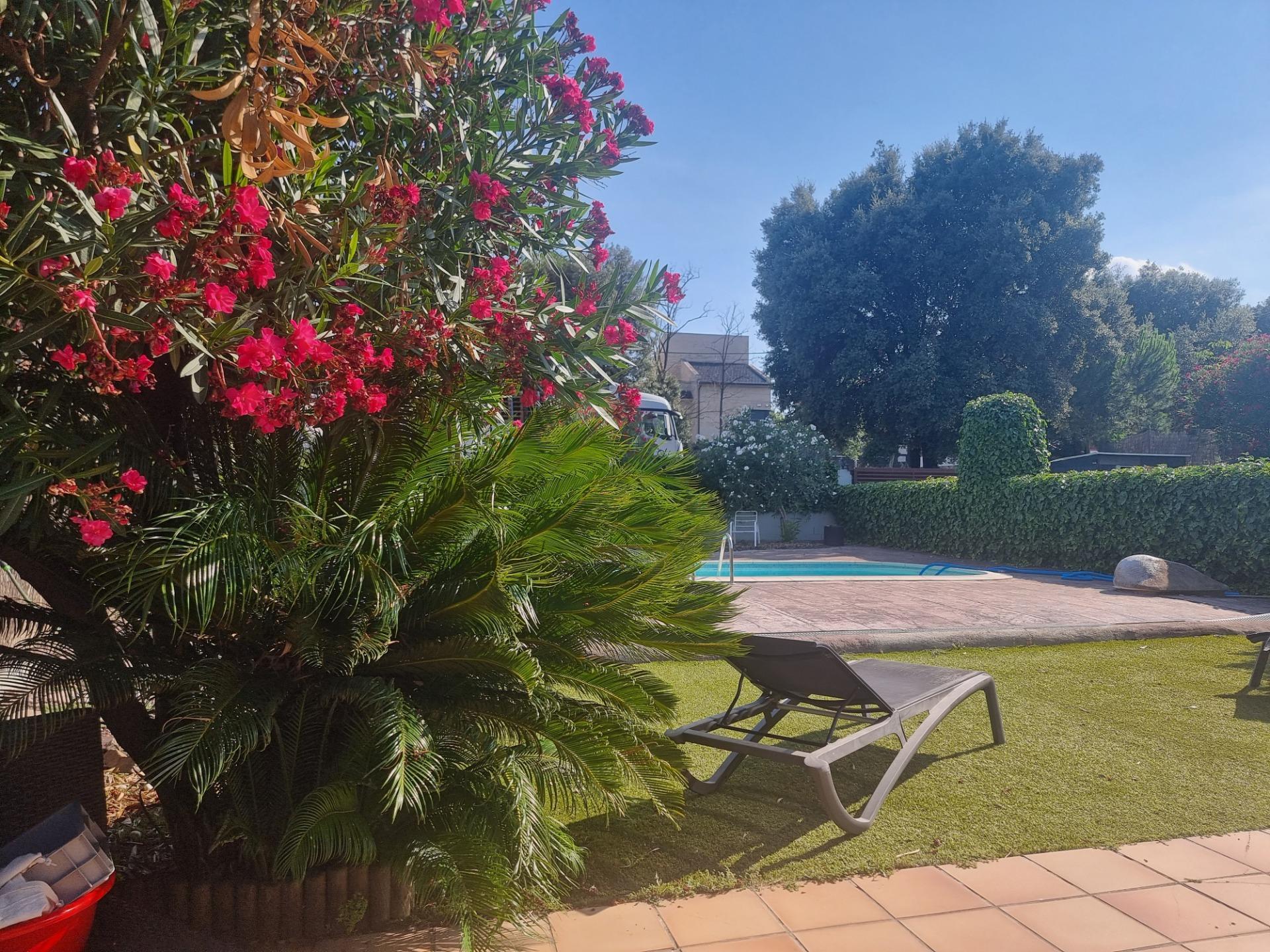 Casas o chalets-Venta-LliÃ§Ã  d