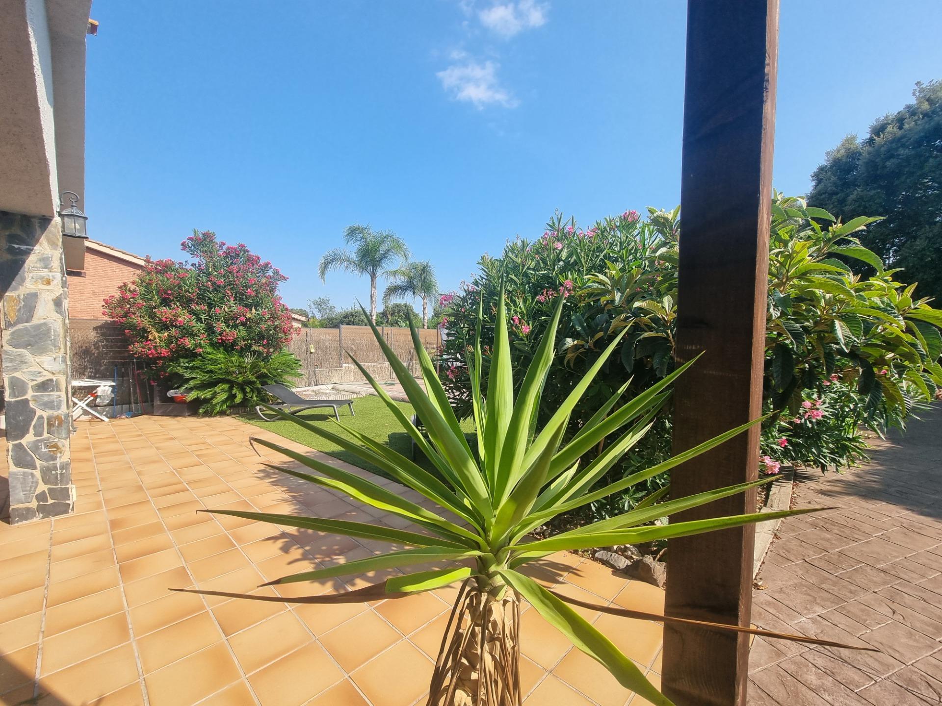 Casas o chalets-Venta-LliÃ§Ã  d