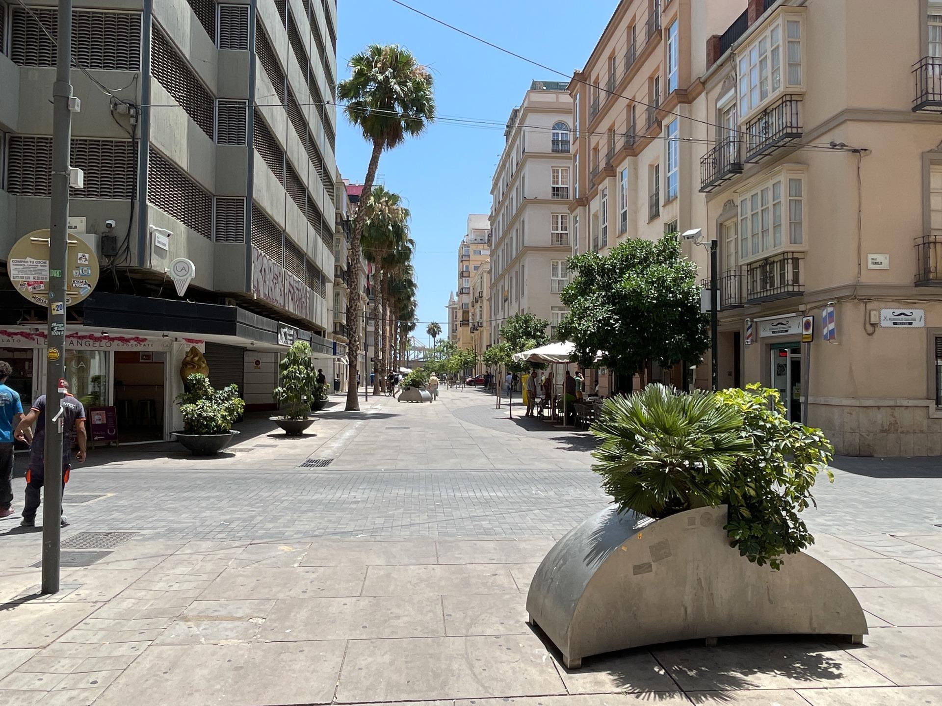 Pisos-Venta-VÃ©lez-MÃ¡laga-1753335-Foto-30