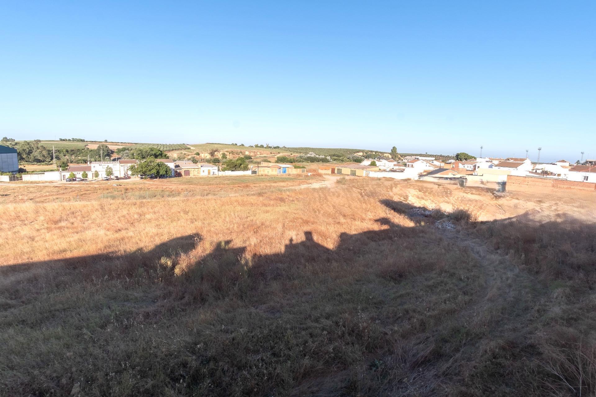 Casas o chalets-Venta-Pilas-1767608-Foto-71