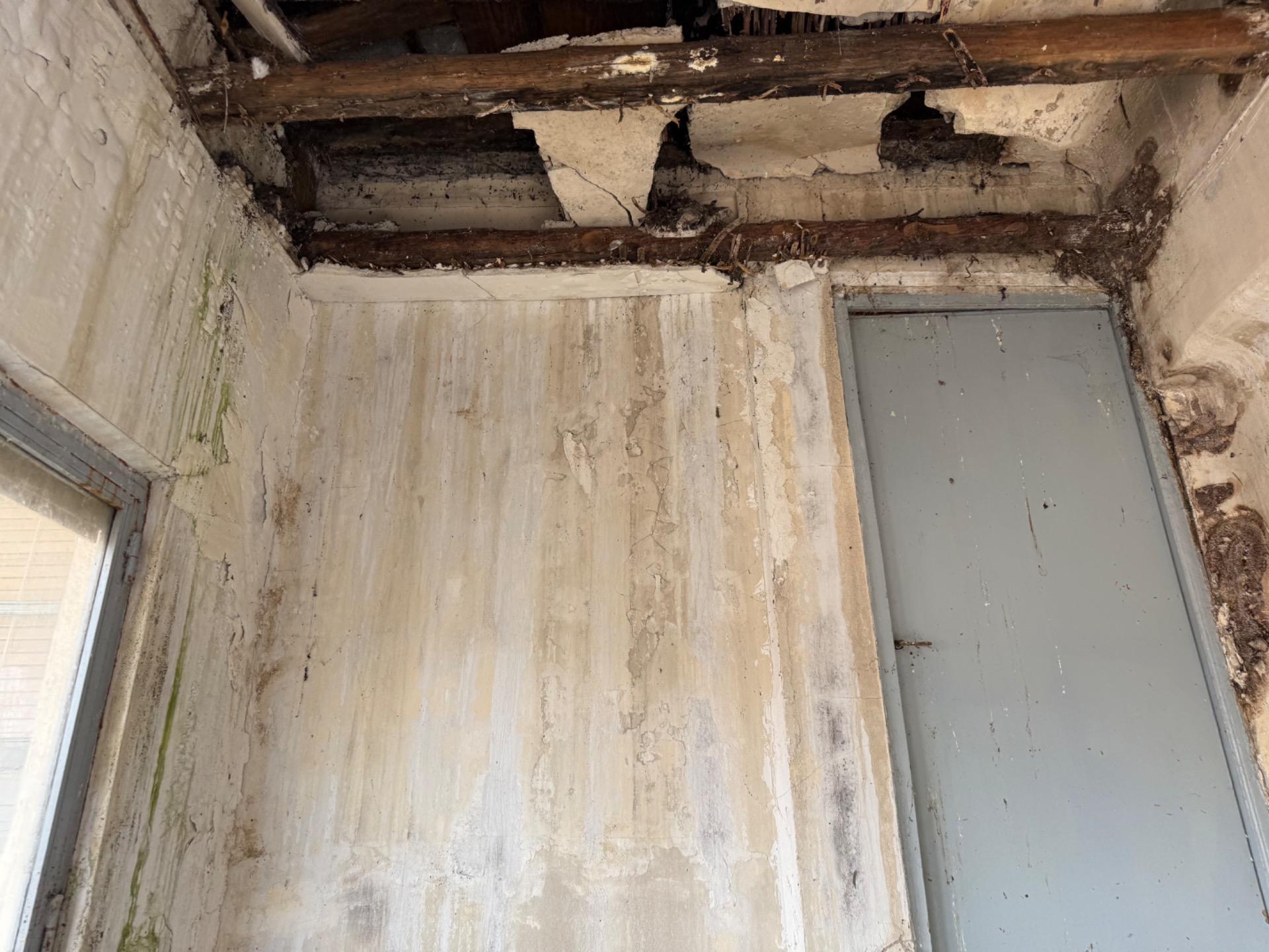 Pisos-Venta-Olmedo-1768127-Foto-29